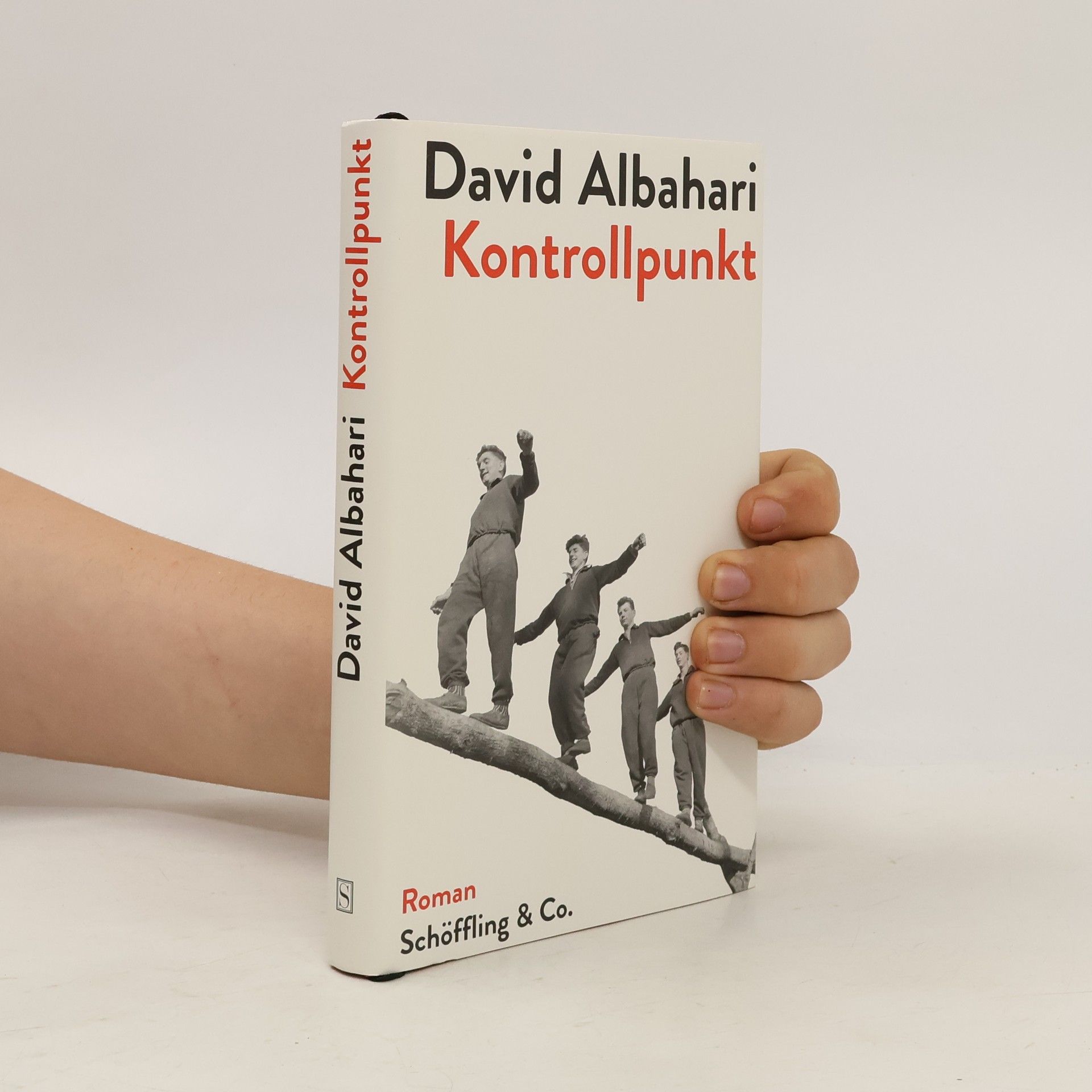 David Albahari Kontrollpunkt