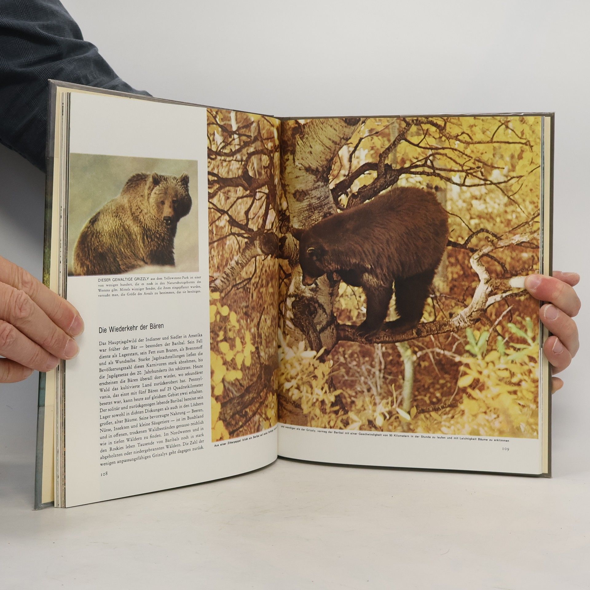 Kenntnisse Peter Farbs Nordamerika. Flora und Fauna