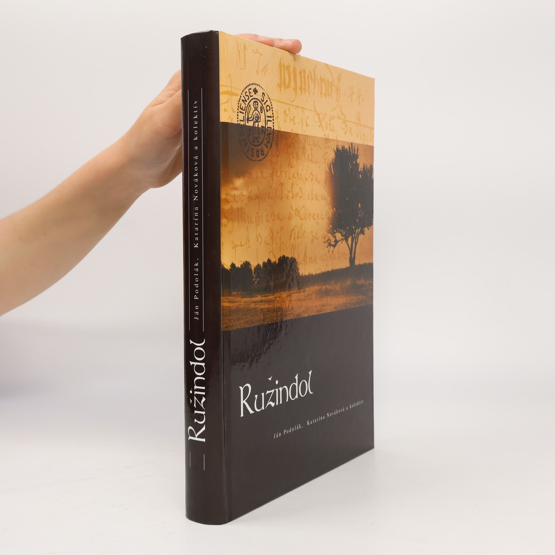 Ružindol : vlastivedná monografia obce