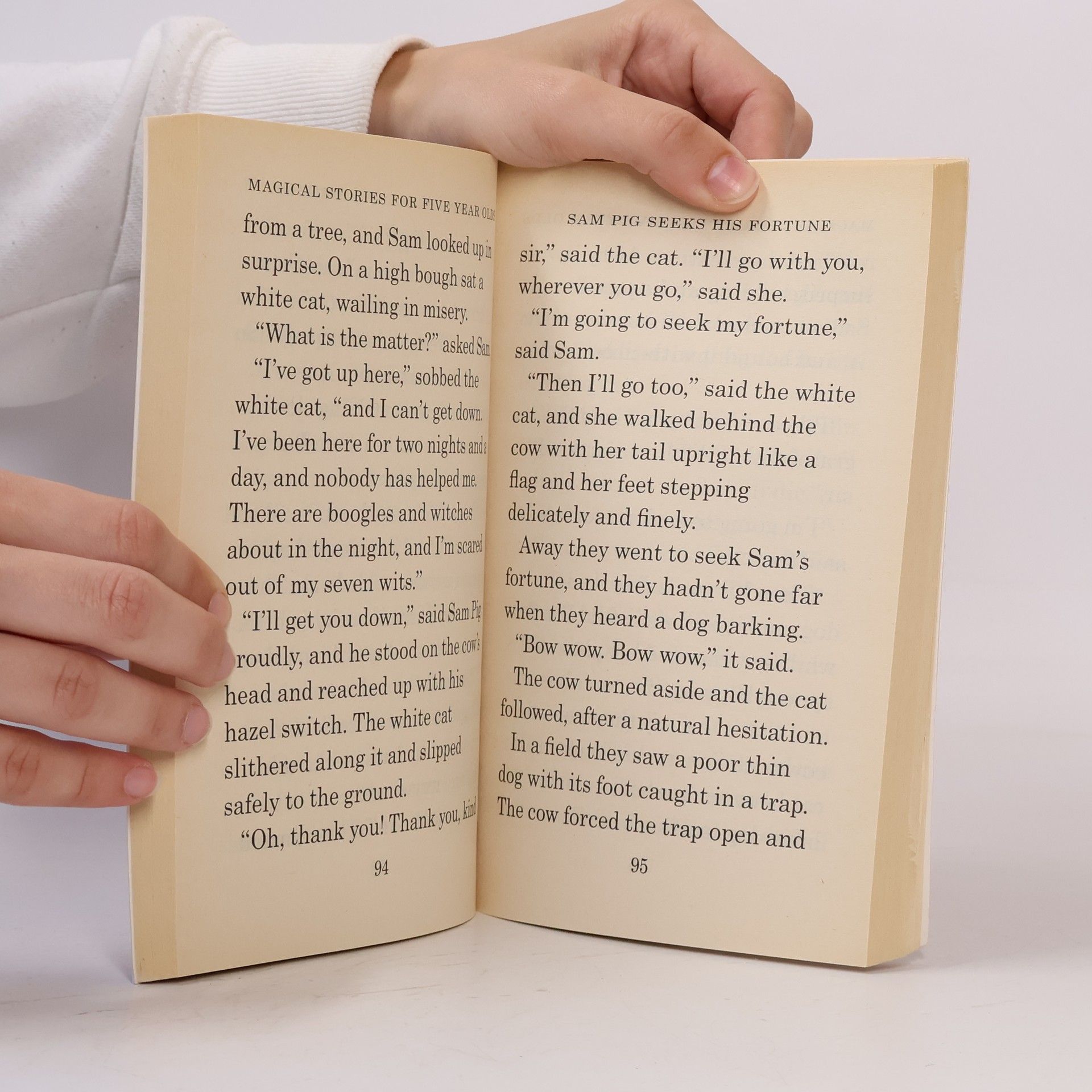 Helen Paiba Magical Stories for Five Year Olds