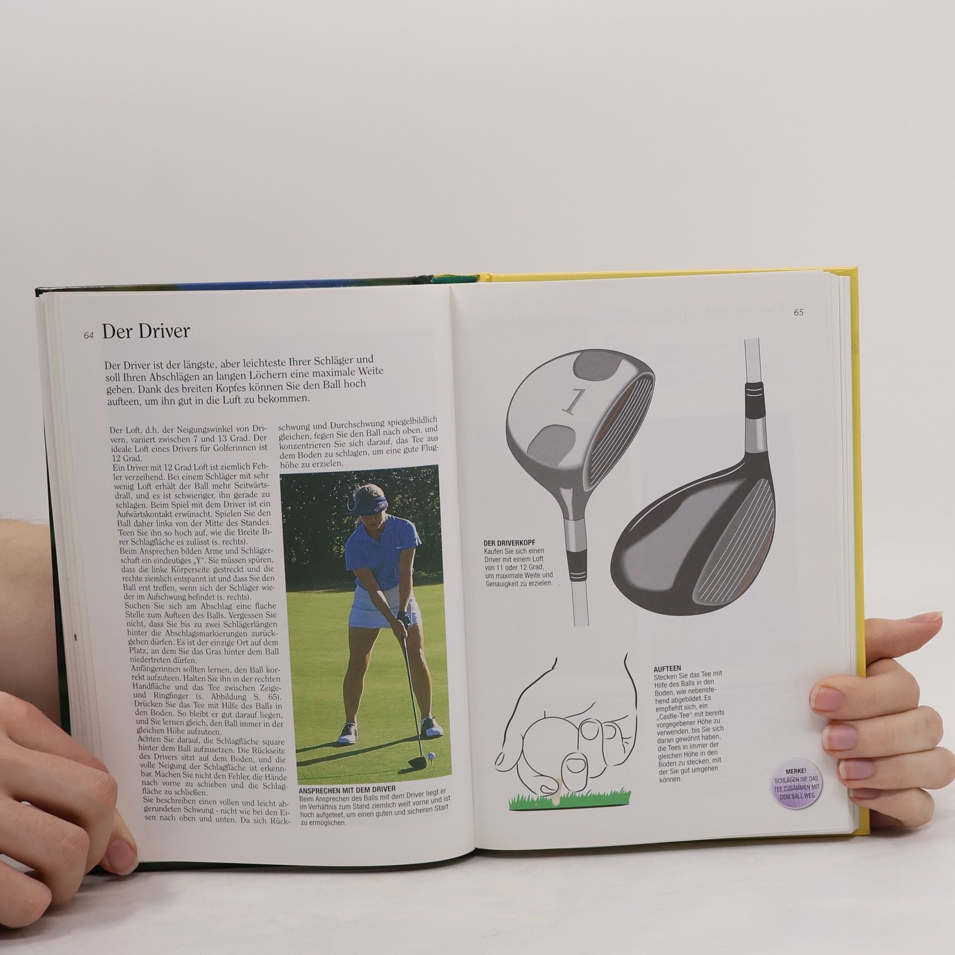 Vivien Saunders Ladies Golf