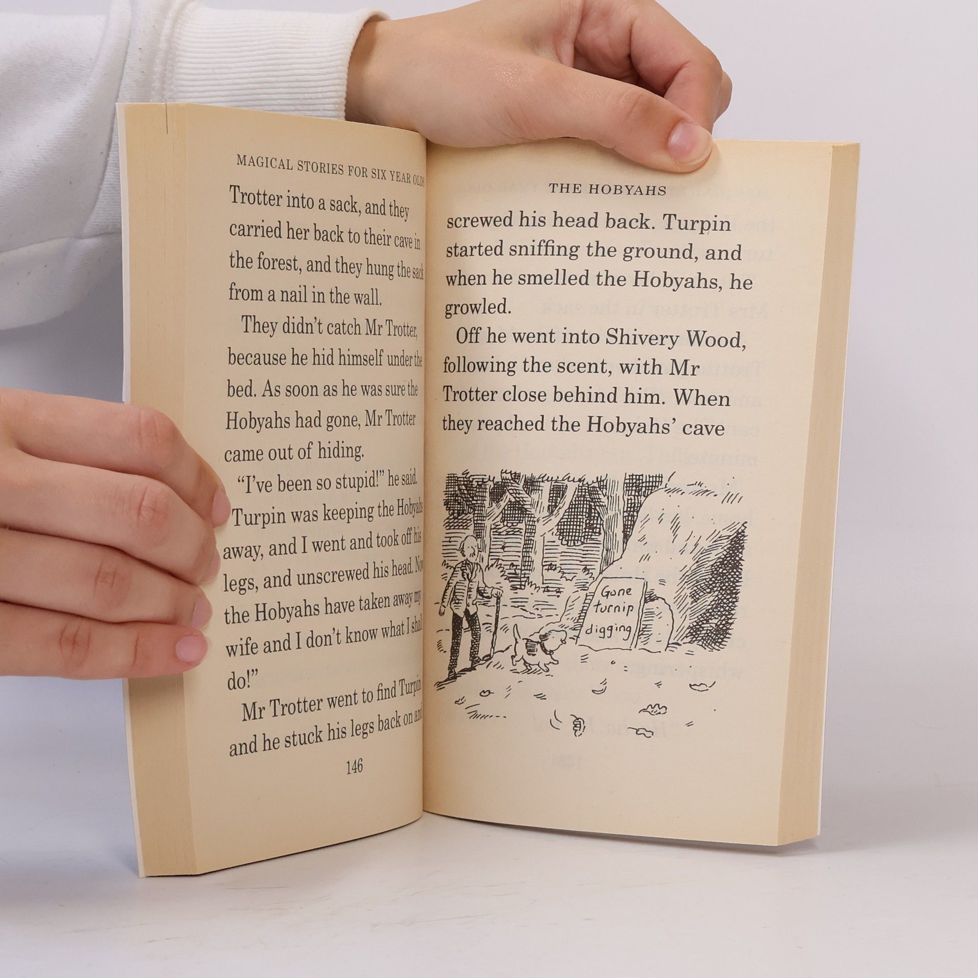 Various authors Magical Stories for 6 Year Olds