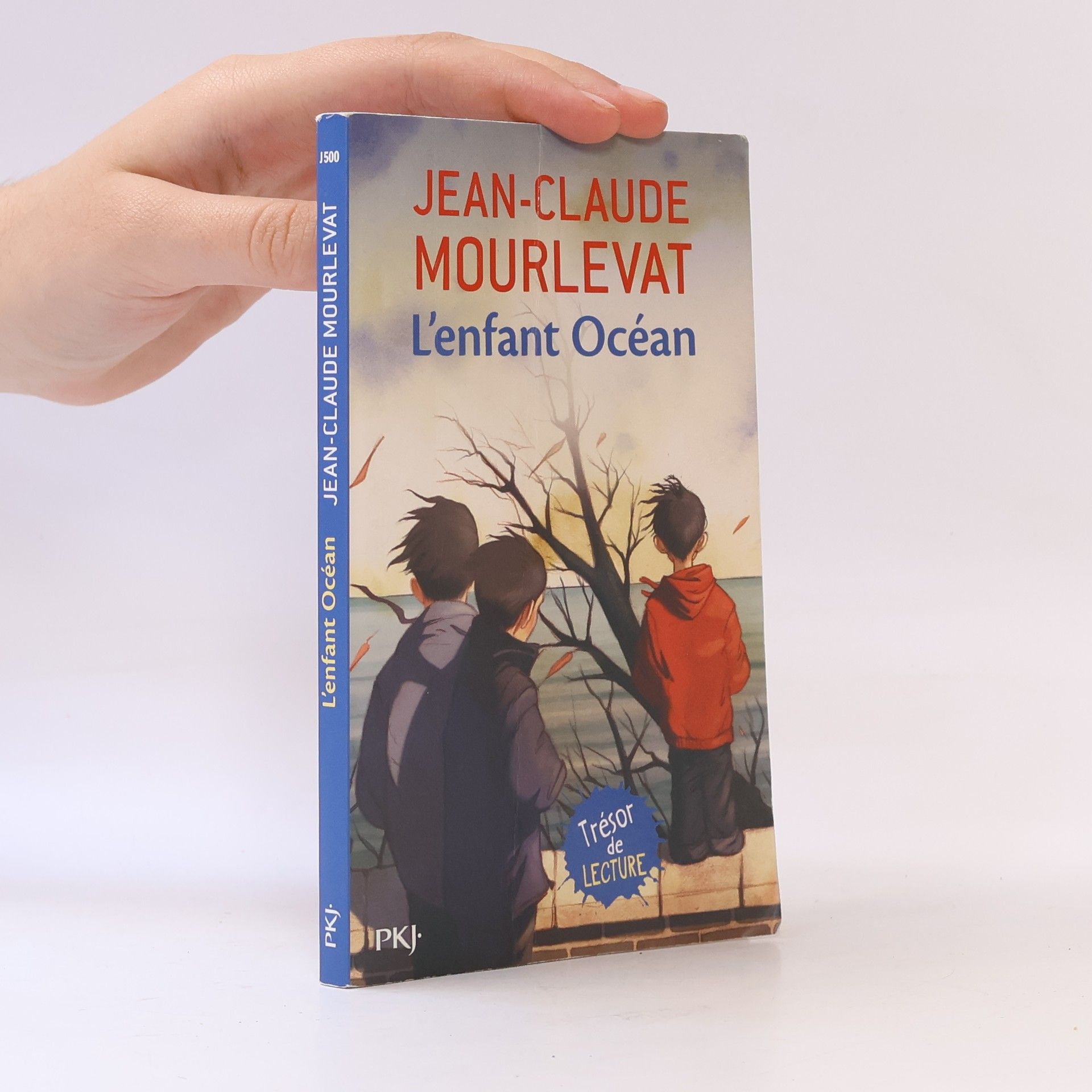 Jean-Claude Mourlevat L'Enfant Ocean