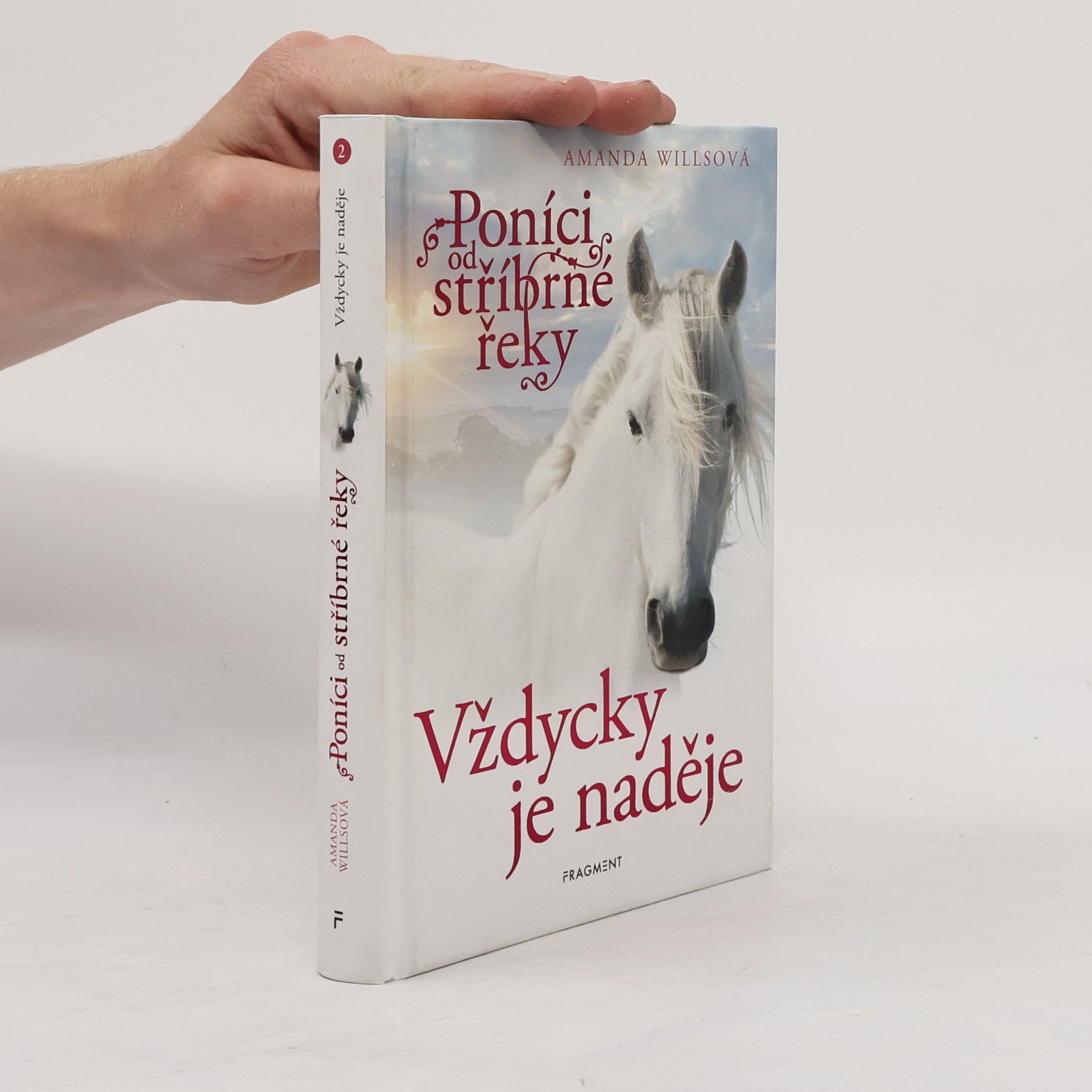 Amanda Wills Vždycky je naděje