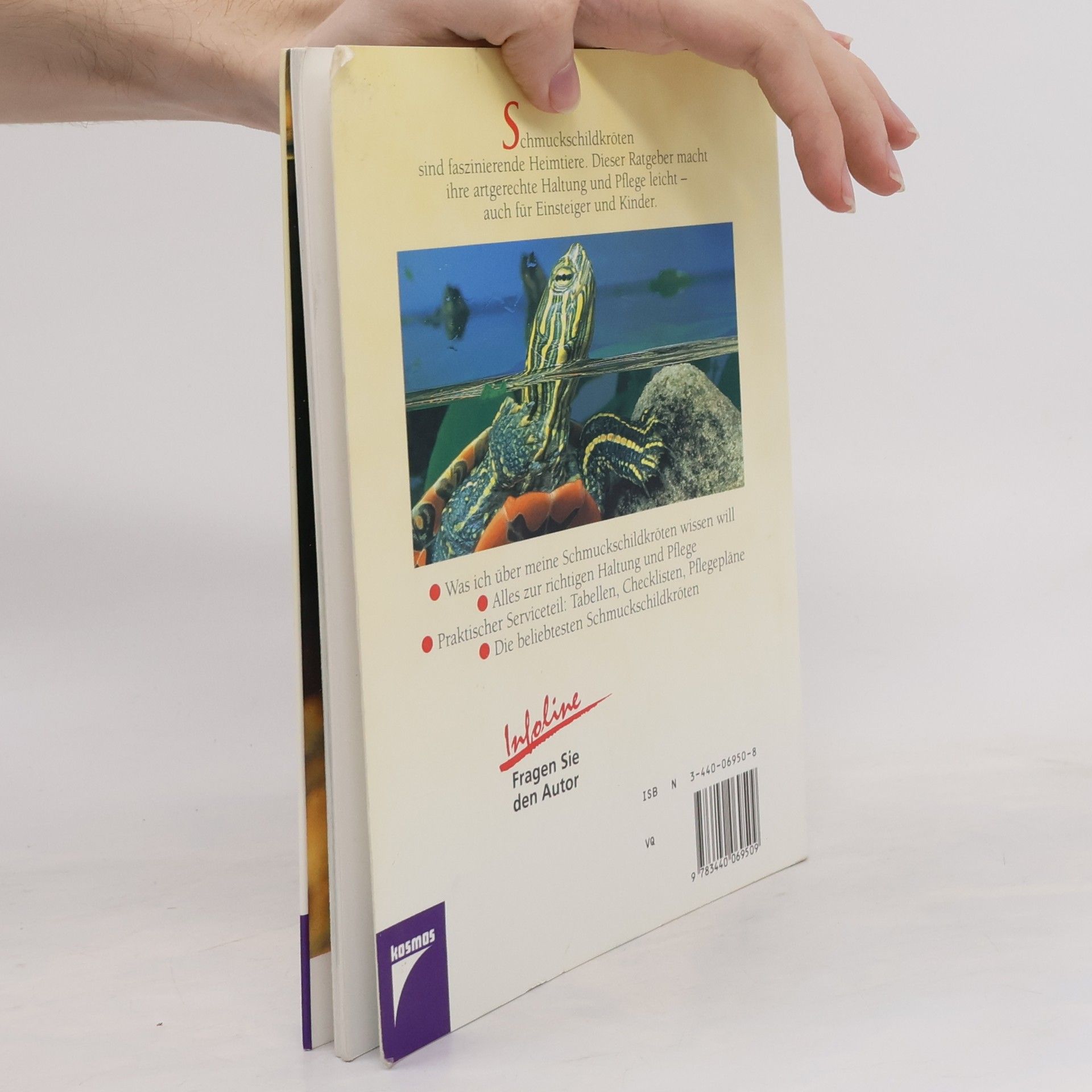 Fritz Fröhlich Wunderschöne Schmuckschildkröten