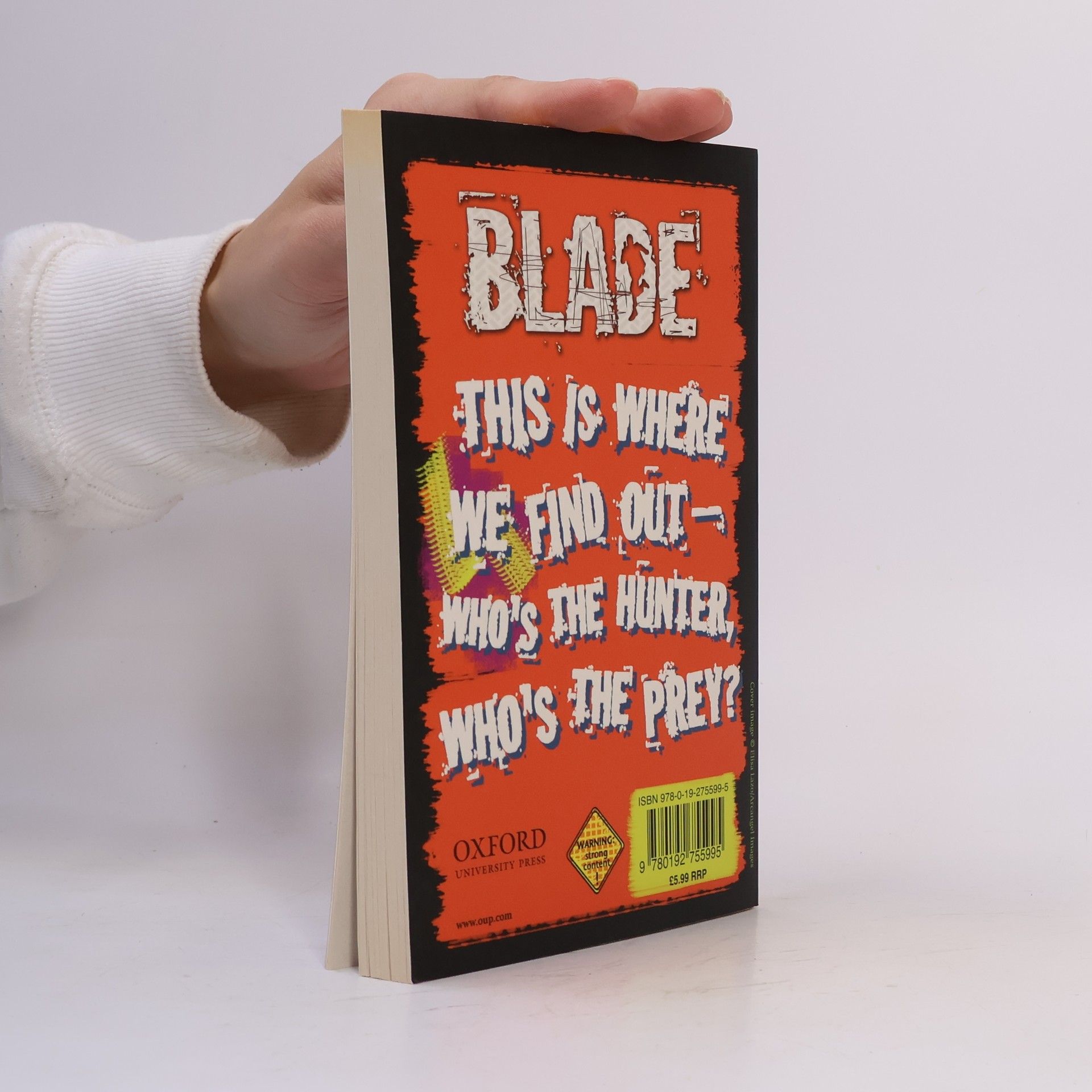 Tim Bowler Blade - 6: Mixing It