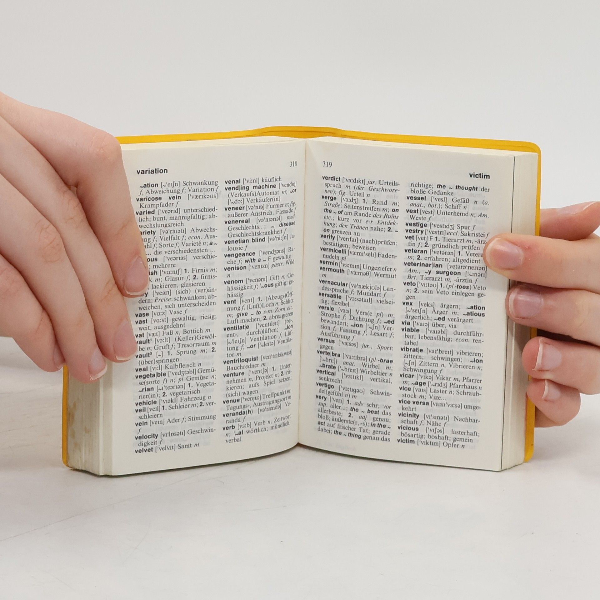 Holger Freese Langenscheidts Universal-Wörterbuch Englisch
