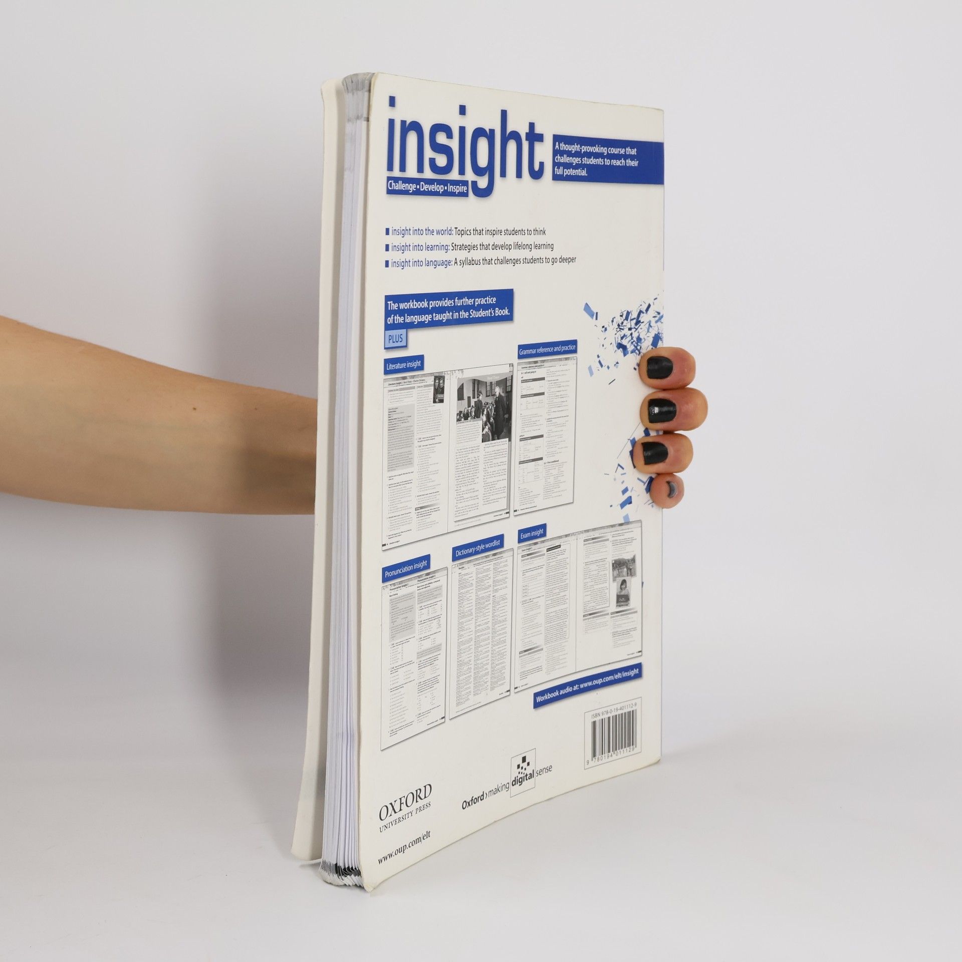 Mike Sayer Insight : Pre-intermediate Workbook