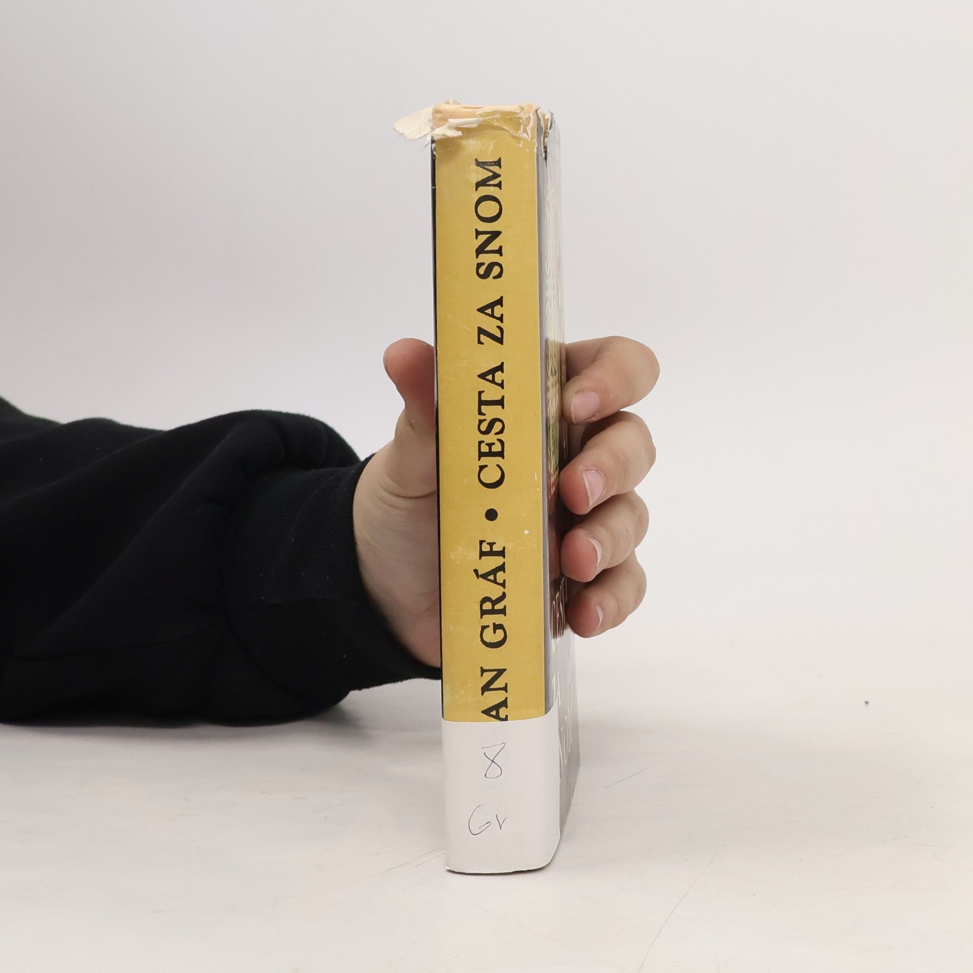 Štefan Gráf Cesta za snom