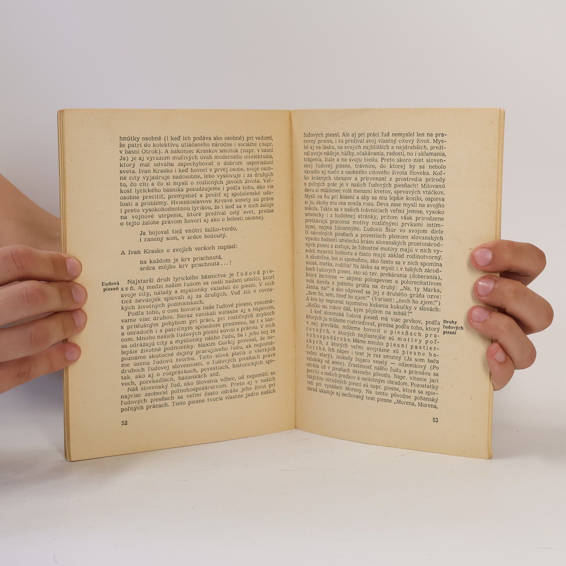 Collectif d'auteurs Základy teórie literatúry