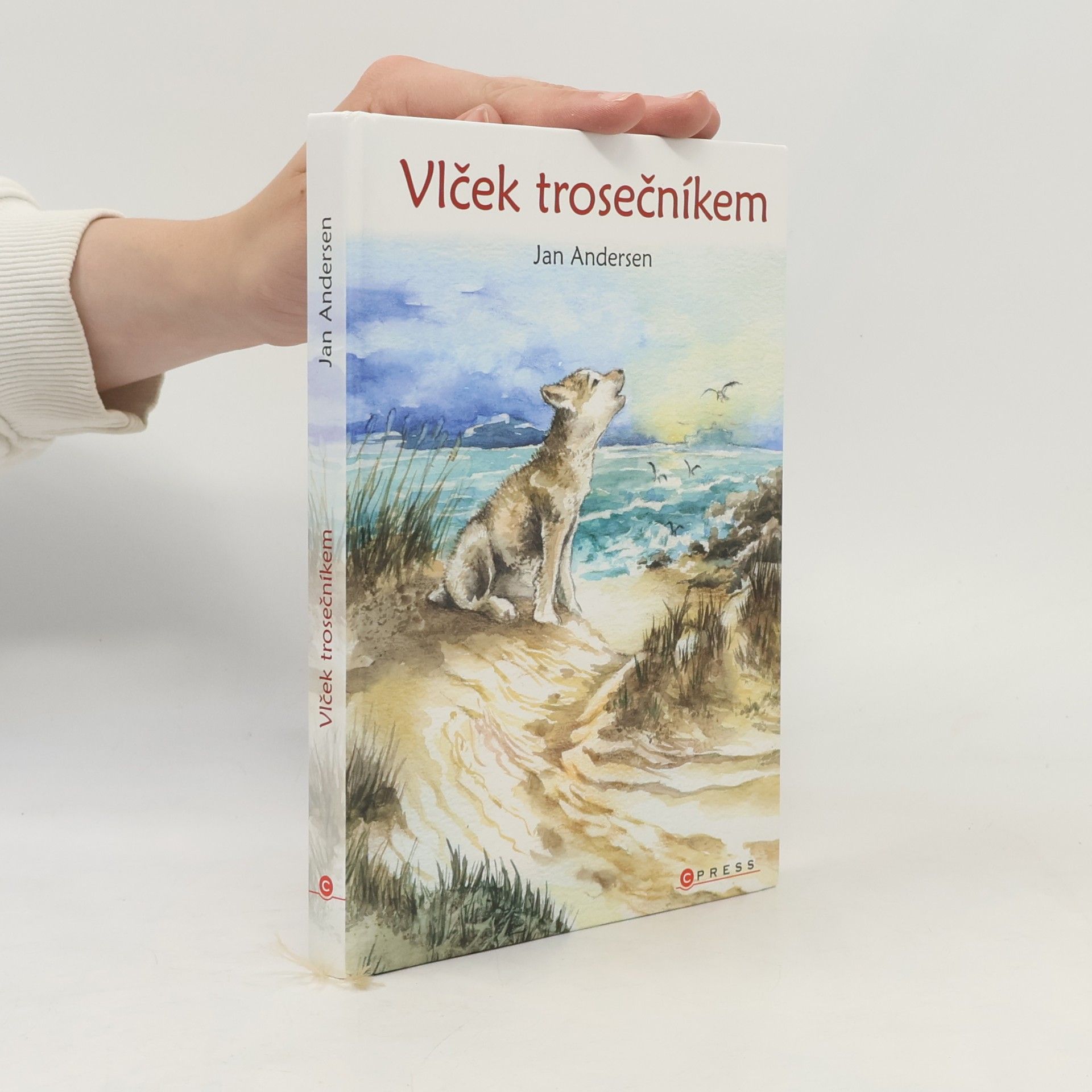 Wolfram Hänel Vlček trosečníkem