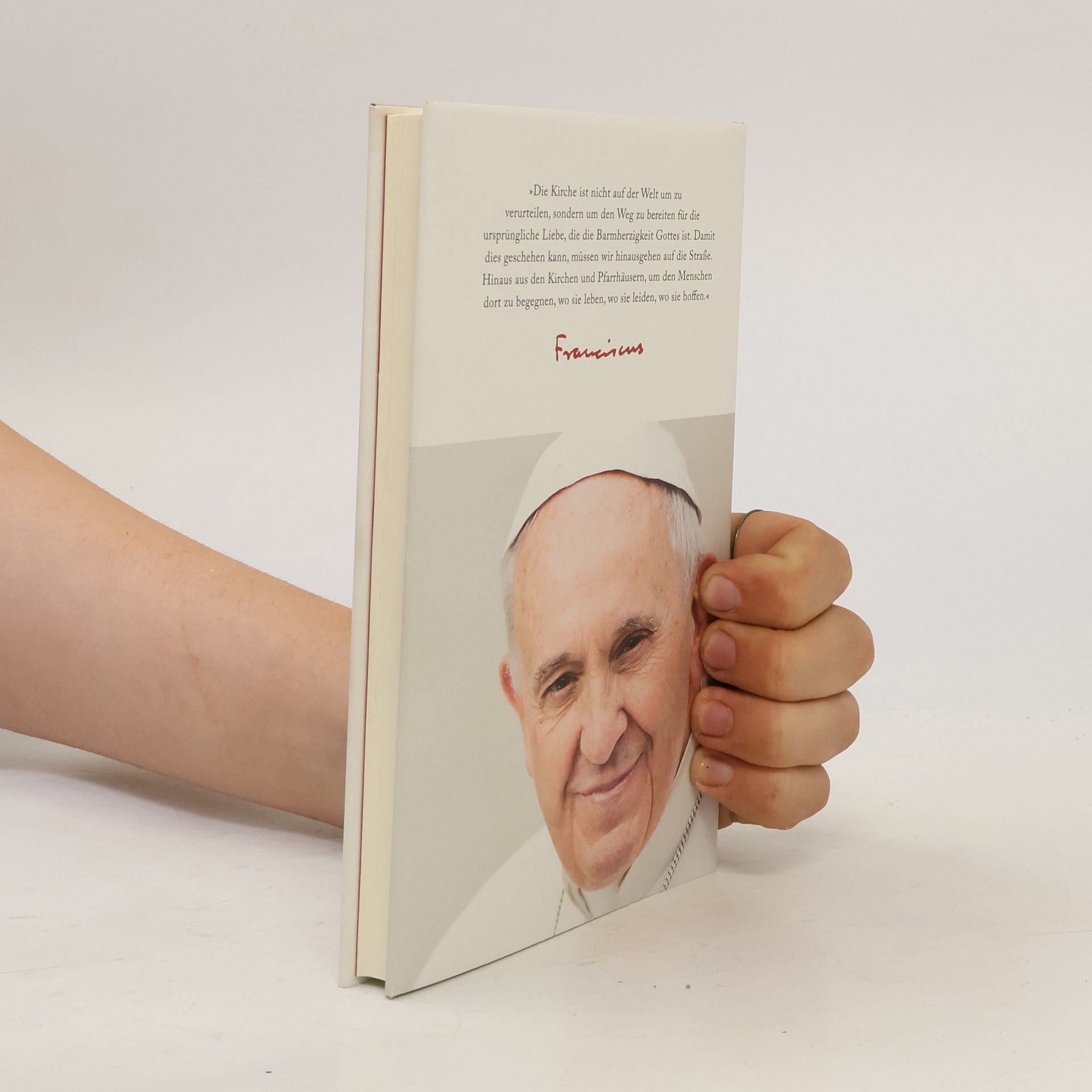 Papež František Der Name Gottes ist Barmherzigkeit