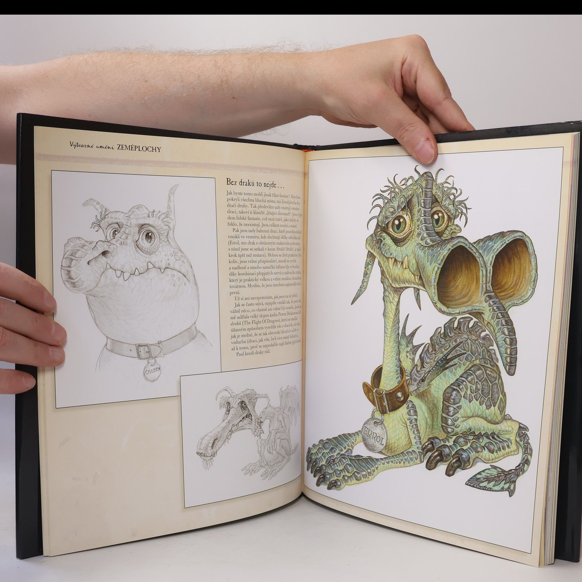Terry Pratchett Výtvarné umění Zeměplochy
