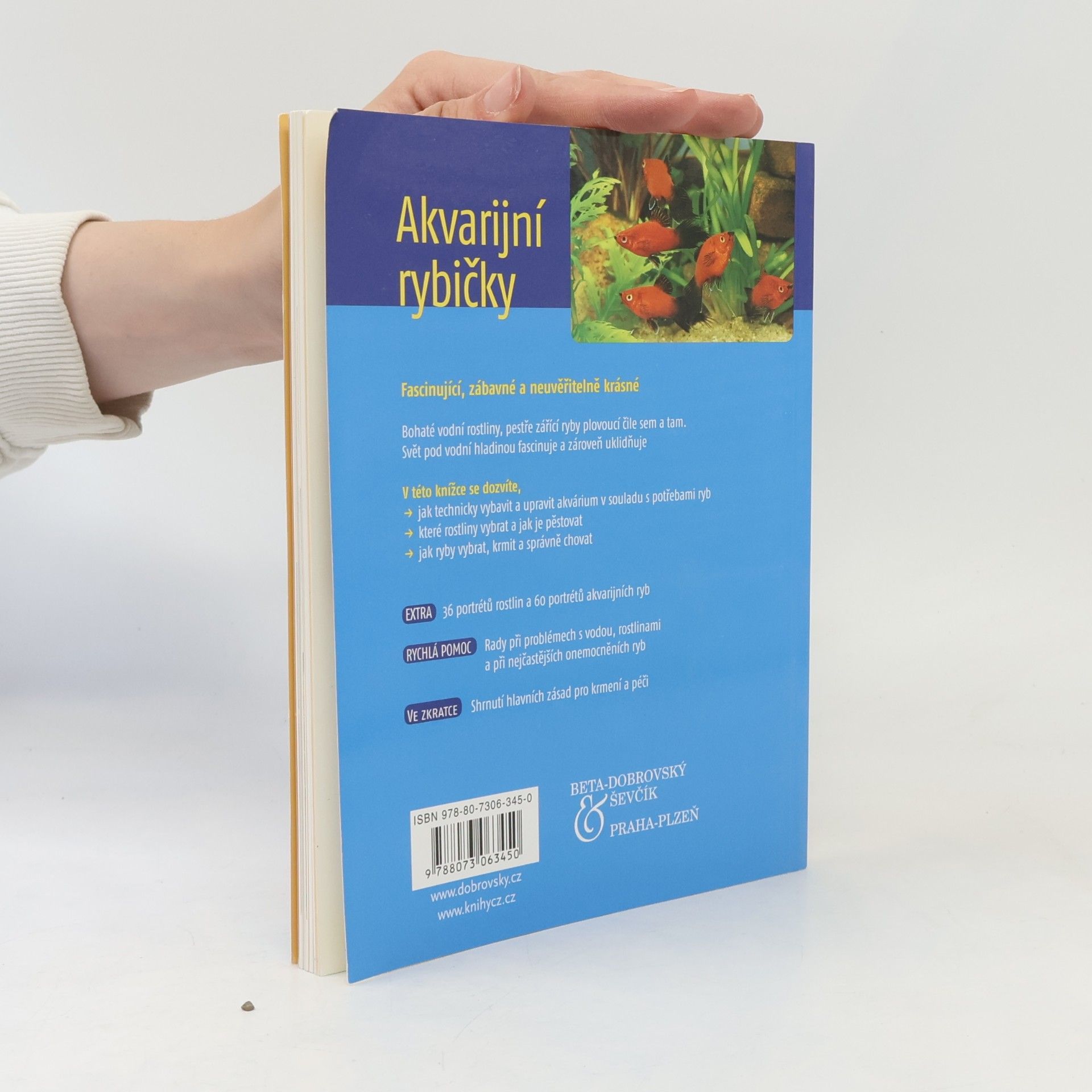 Angela Beck Akvarijní rybičky. Ryby & rostliny, vybavení akvária & péče
