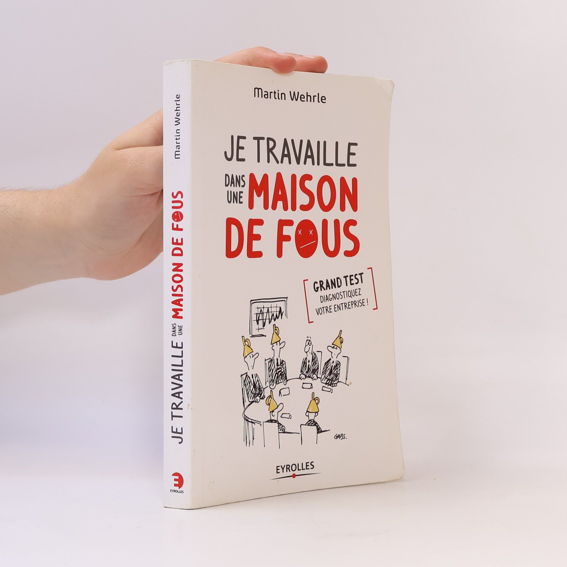 Martin Wehrle Je travaille dans une maison de fous