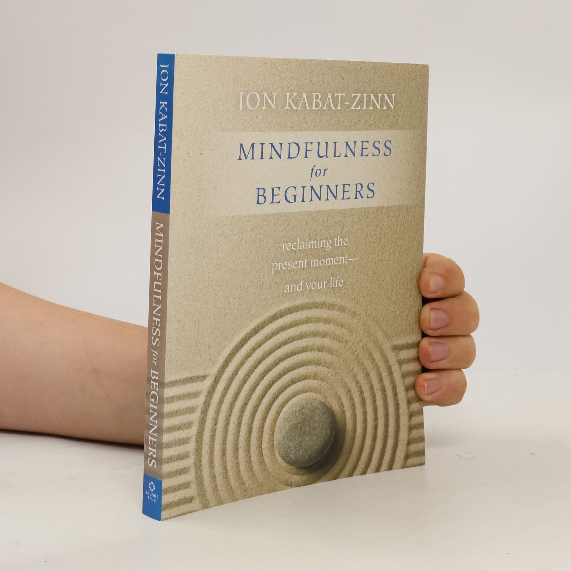 Jon Kabat Zinn Mindfulness for Beginners