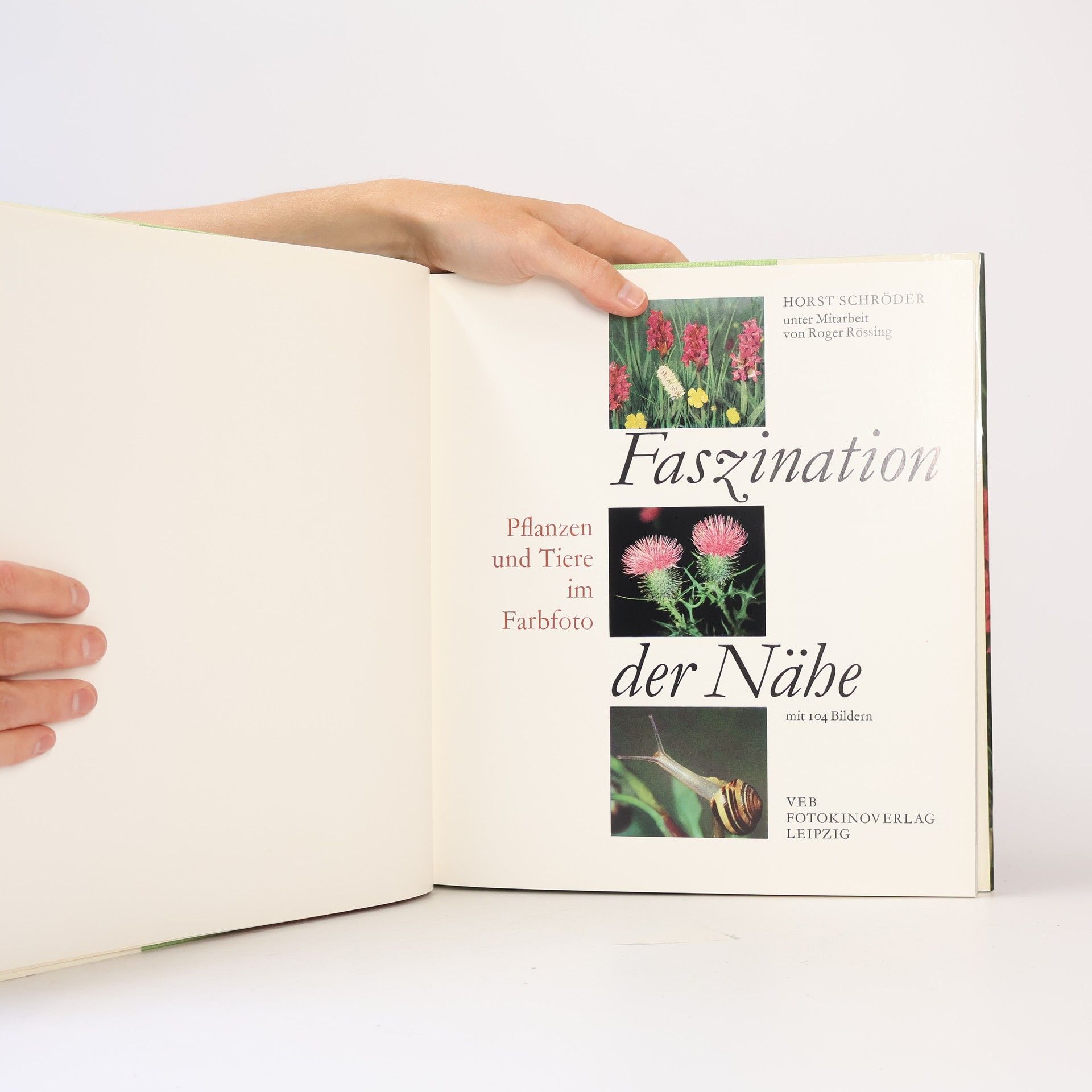 Autorenkollektiv Faszination der Nähe