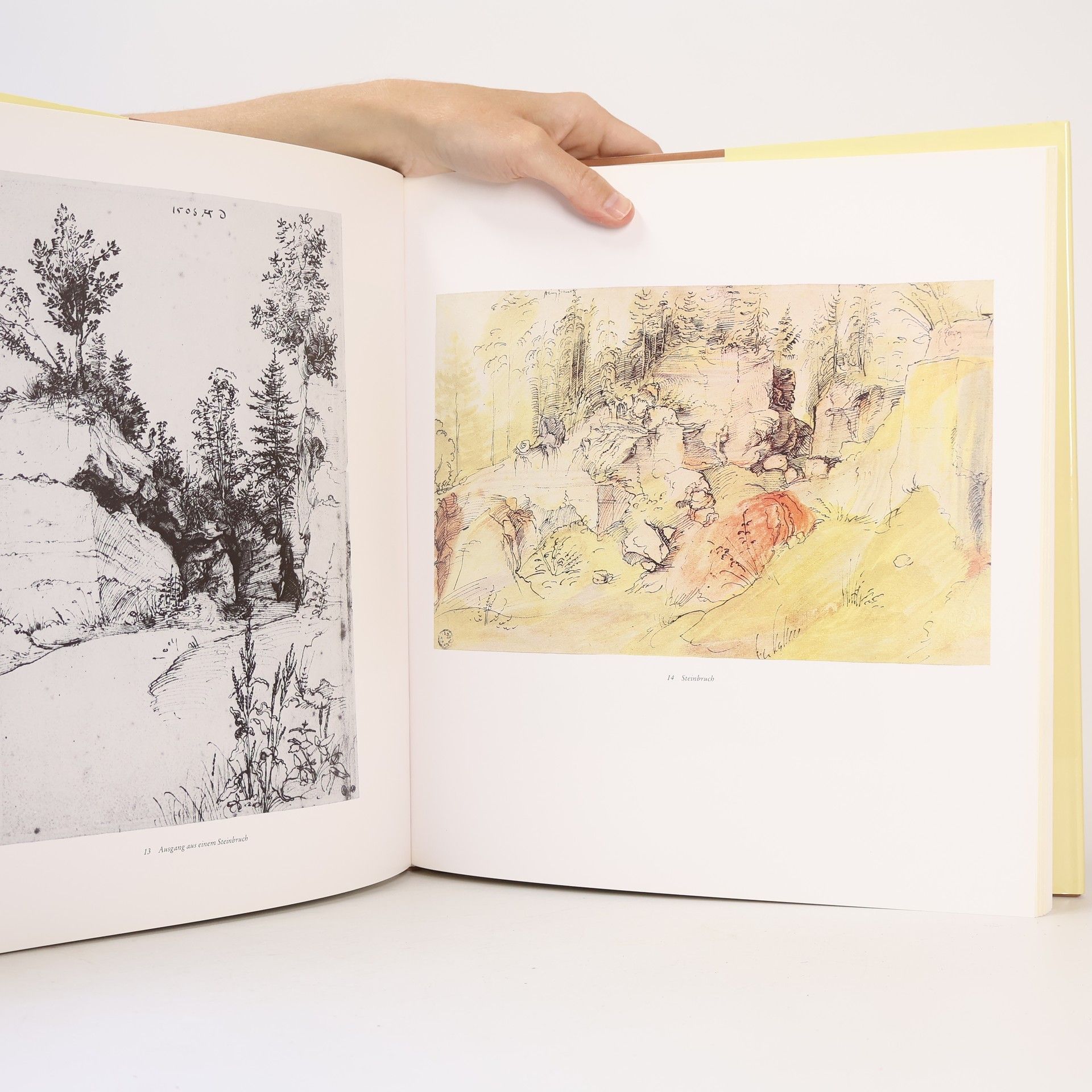 Friedrich Piel Albrecht Dürer: Aquarelle und Zeichnungen
