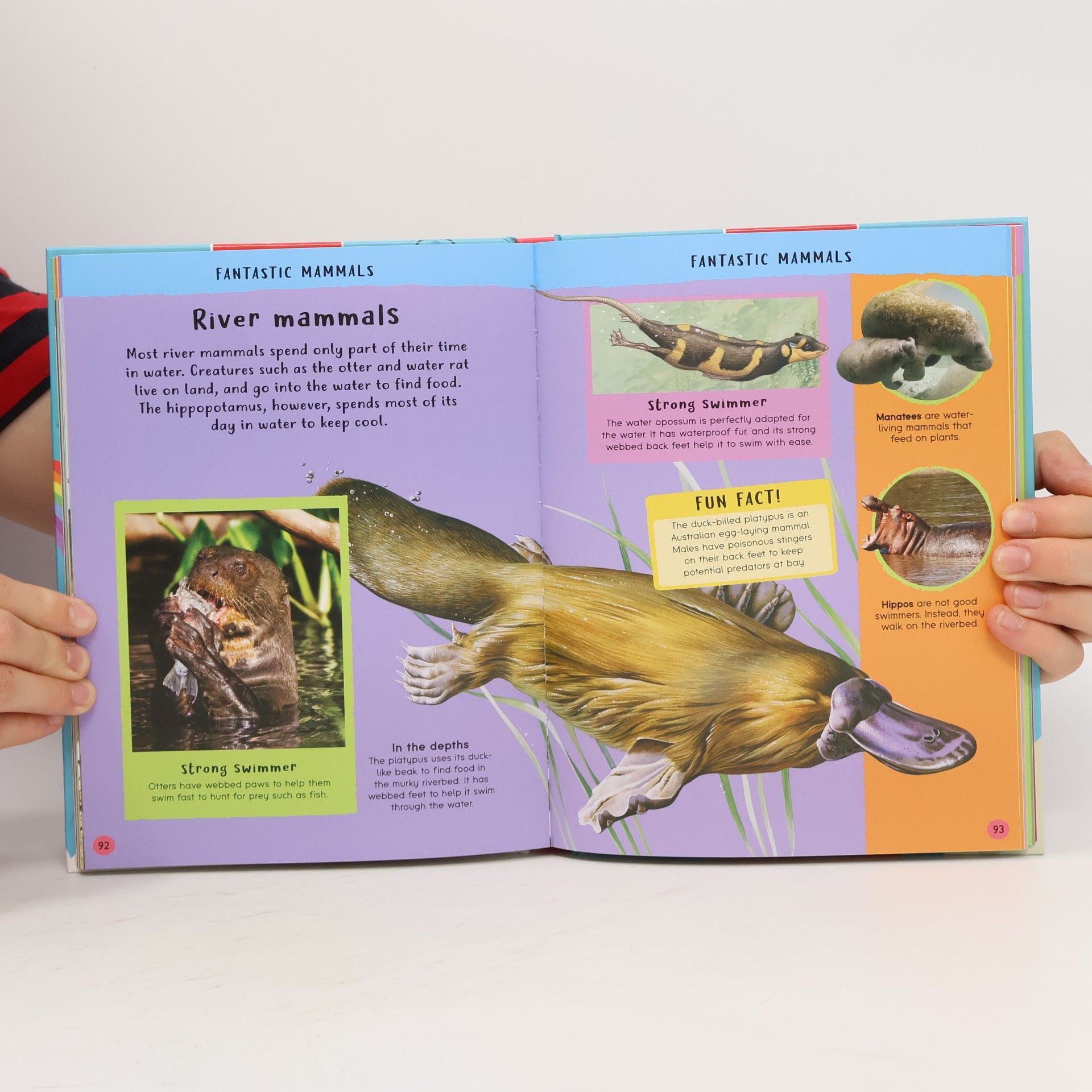 Encyclopedia of Amazing Facts