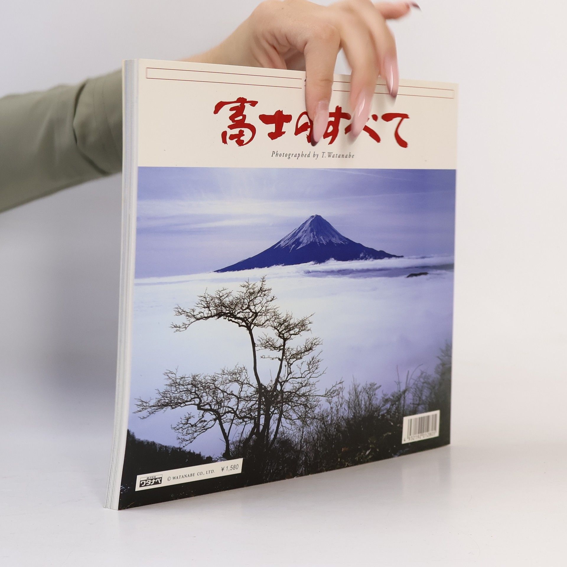 Toyohiro Watanabe 富士のすべて