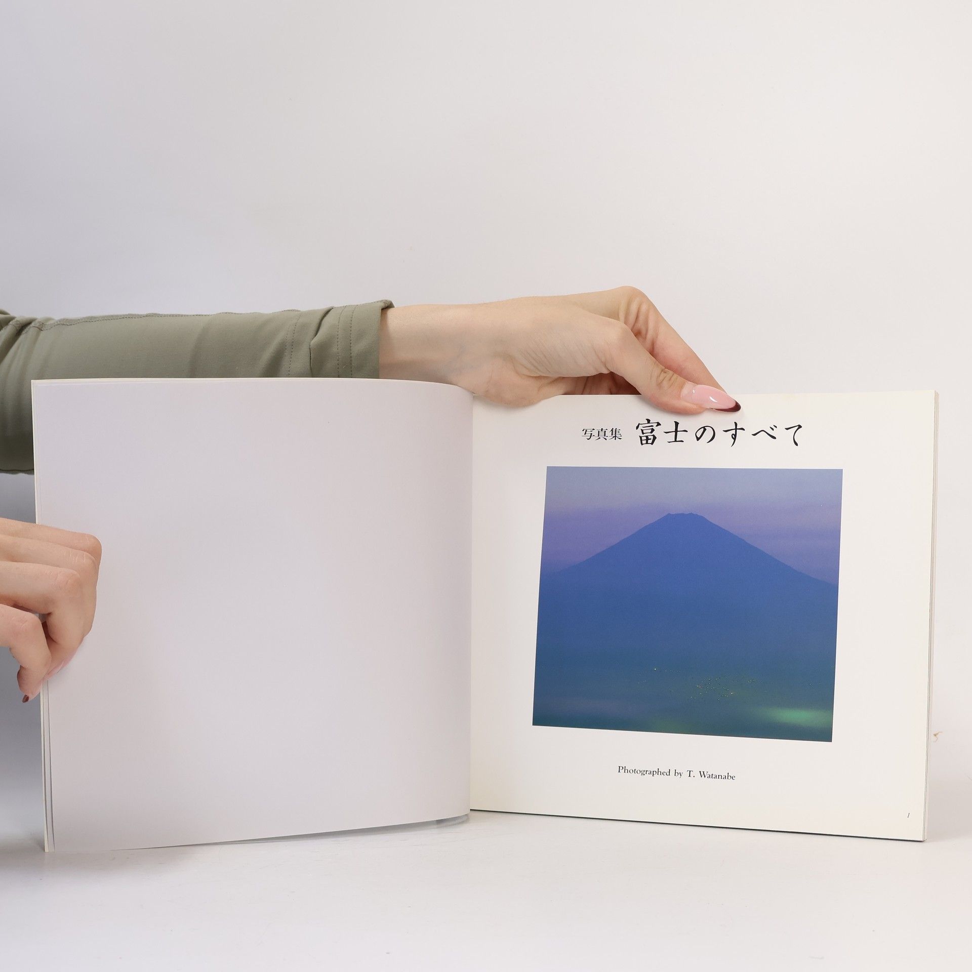 Toyohiro Watanabe 富士のすべて