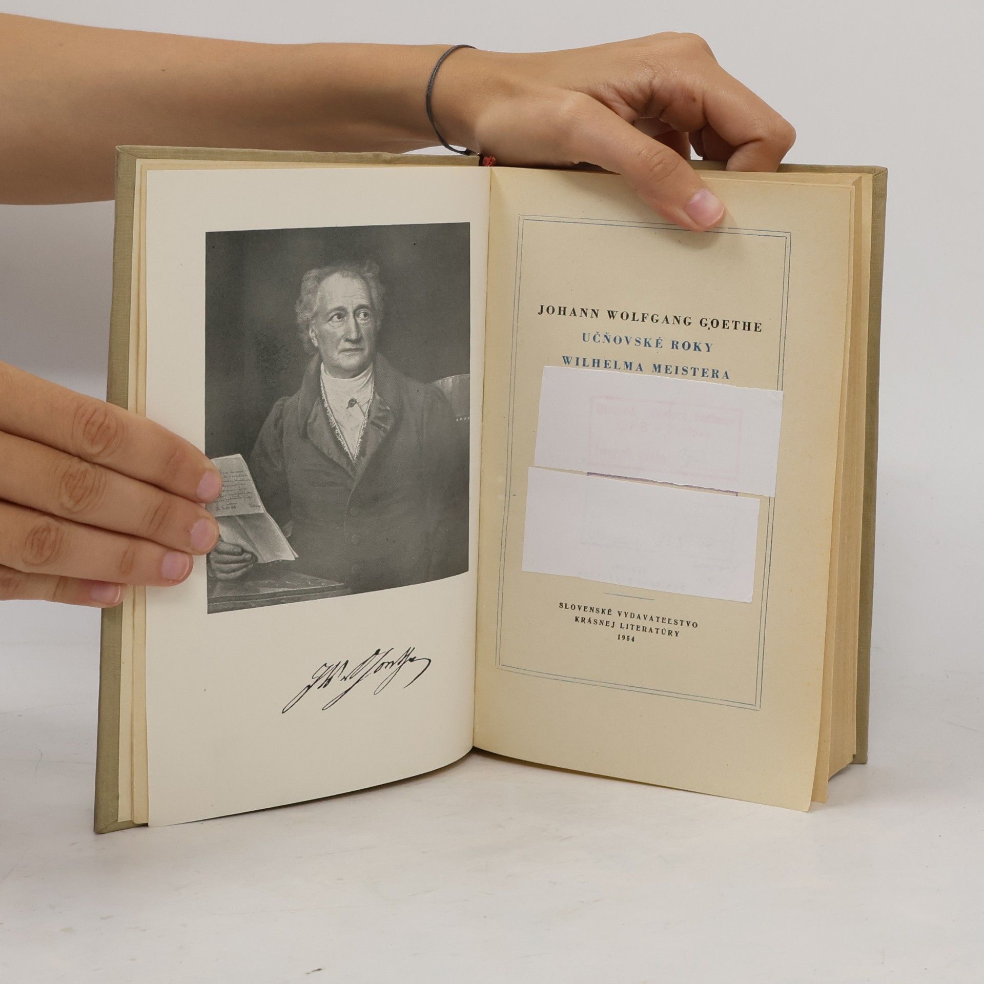 Johann Wolfgang von Goethe Učňovské roky Wilhelma Meistera
