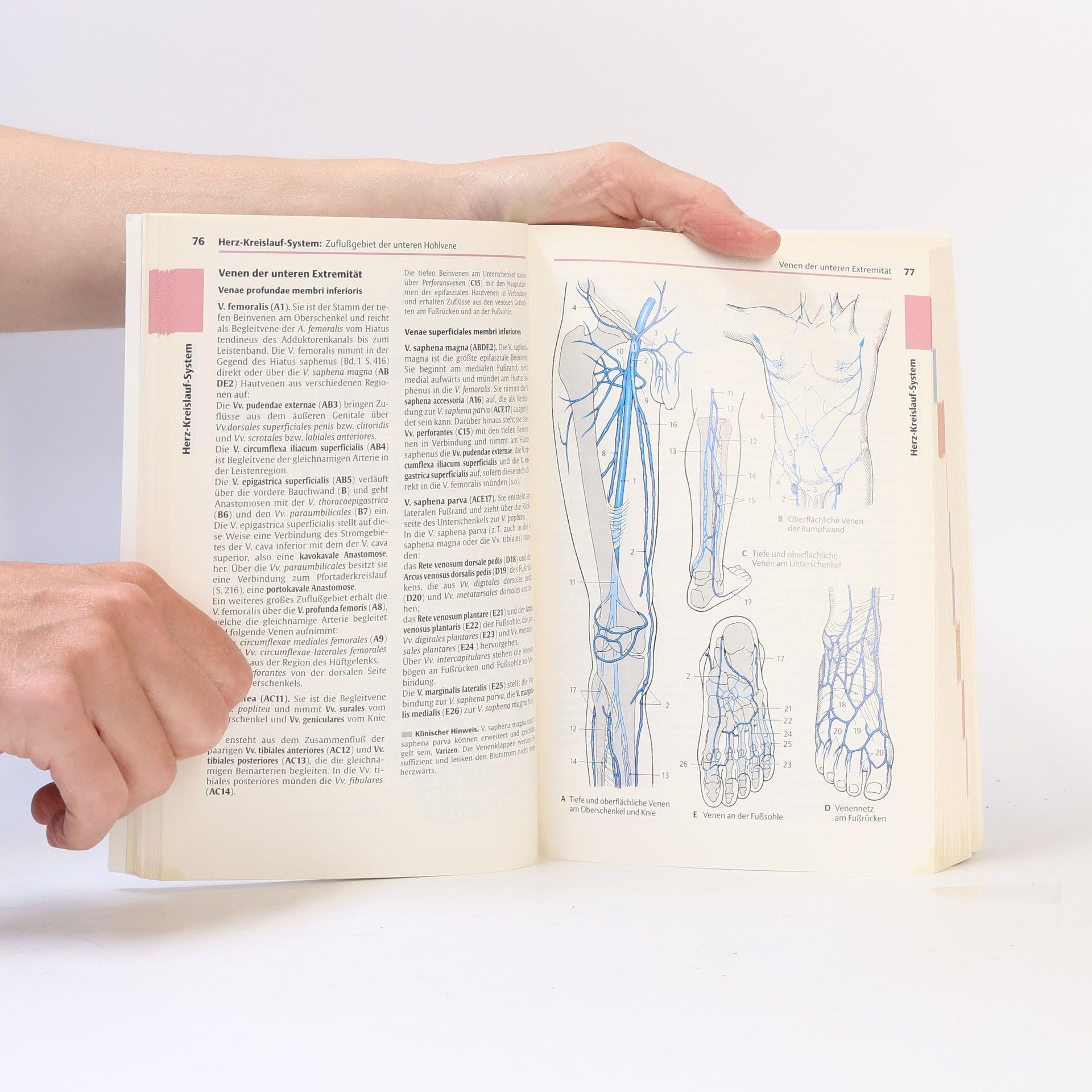 Helga Fritsch Taschenatlas der Anatomie