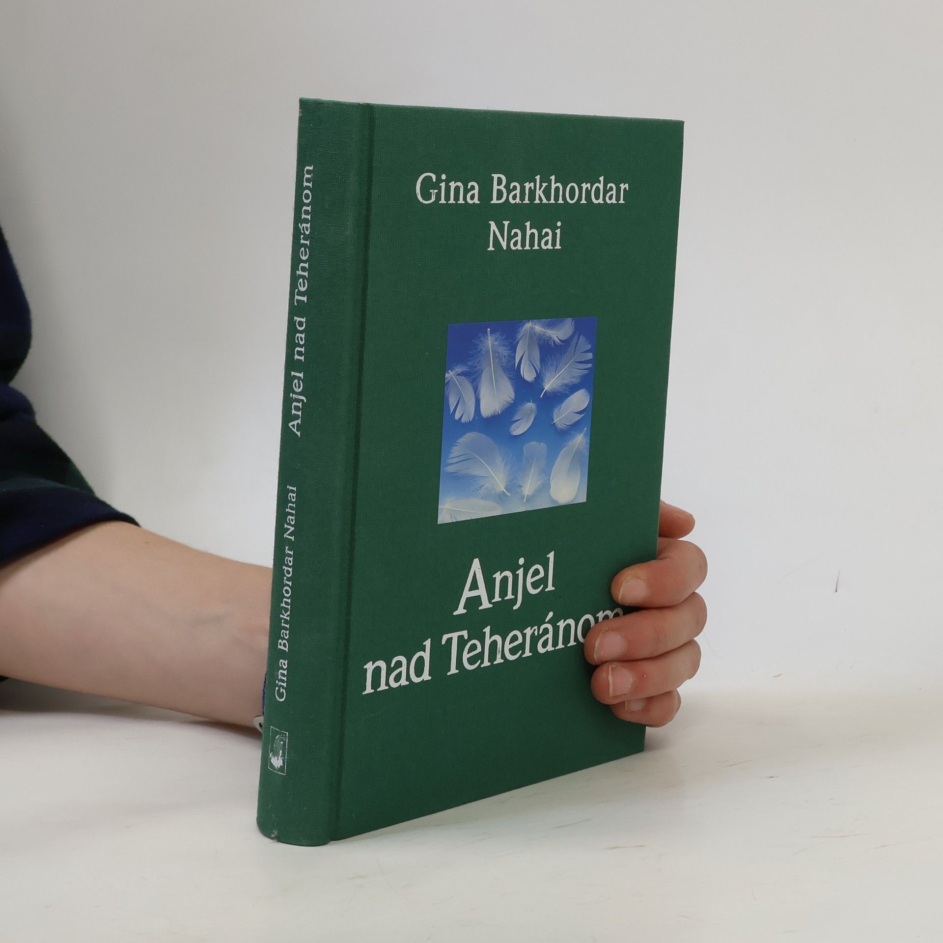 Gina B. Nahai Anjel nad Teheránom