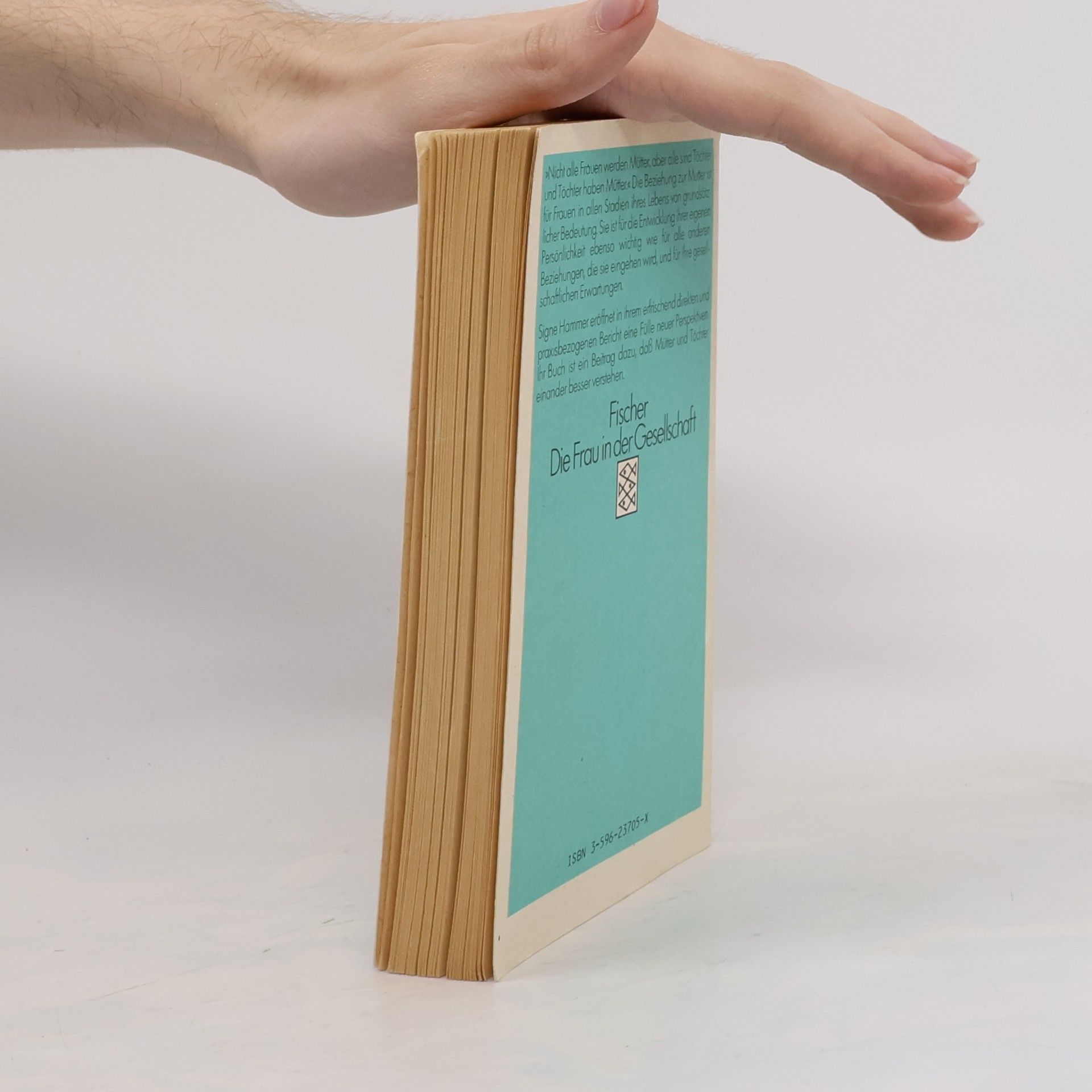 Signe Hammer Töchter und Mütter