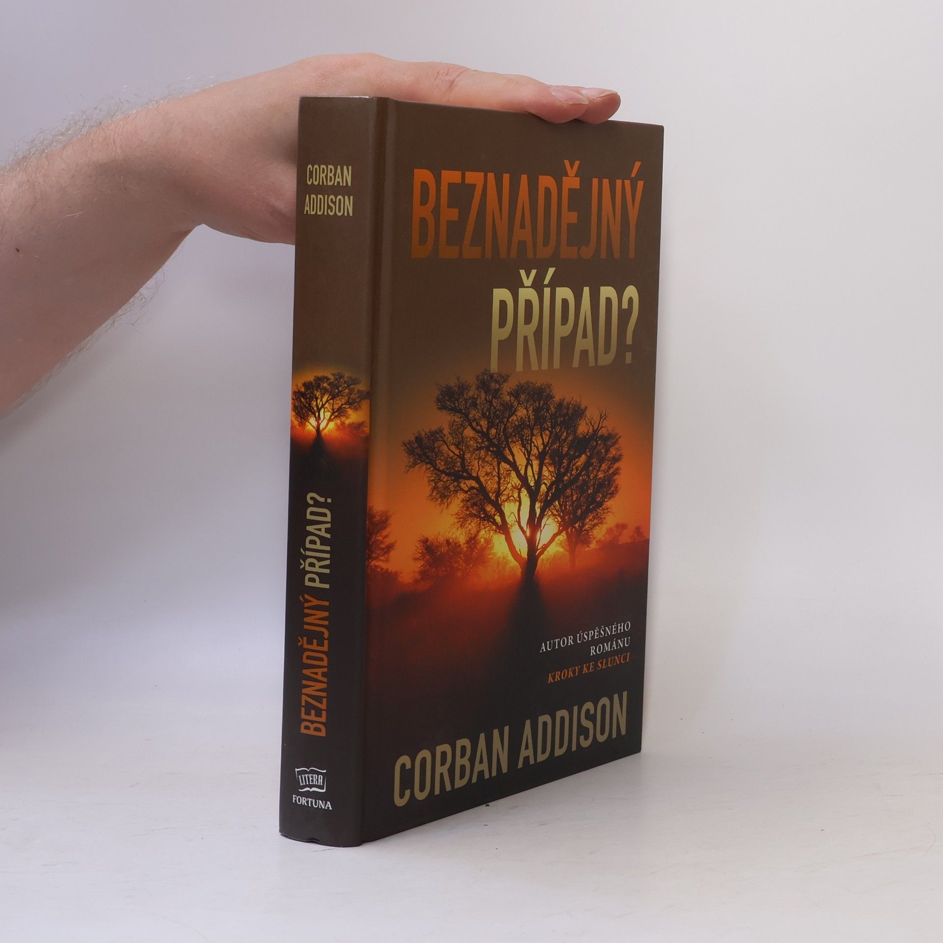 Corban Addison Beznadějný případ?