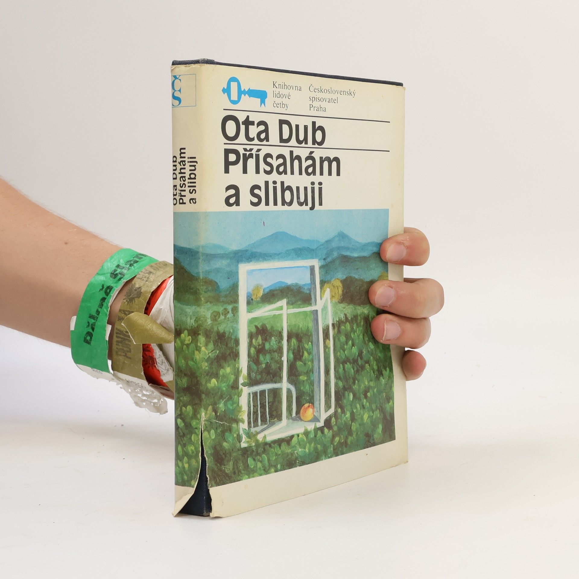 Ota Dub Přísahám a slibuji