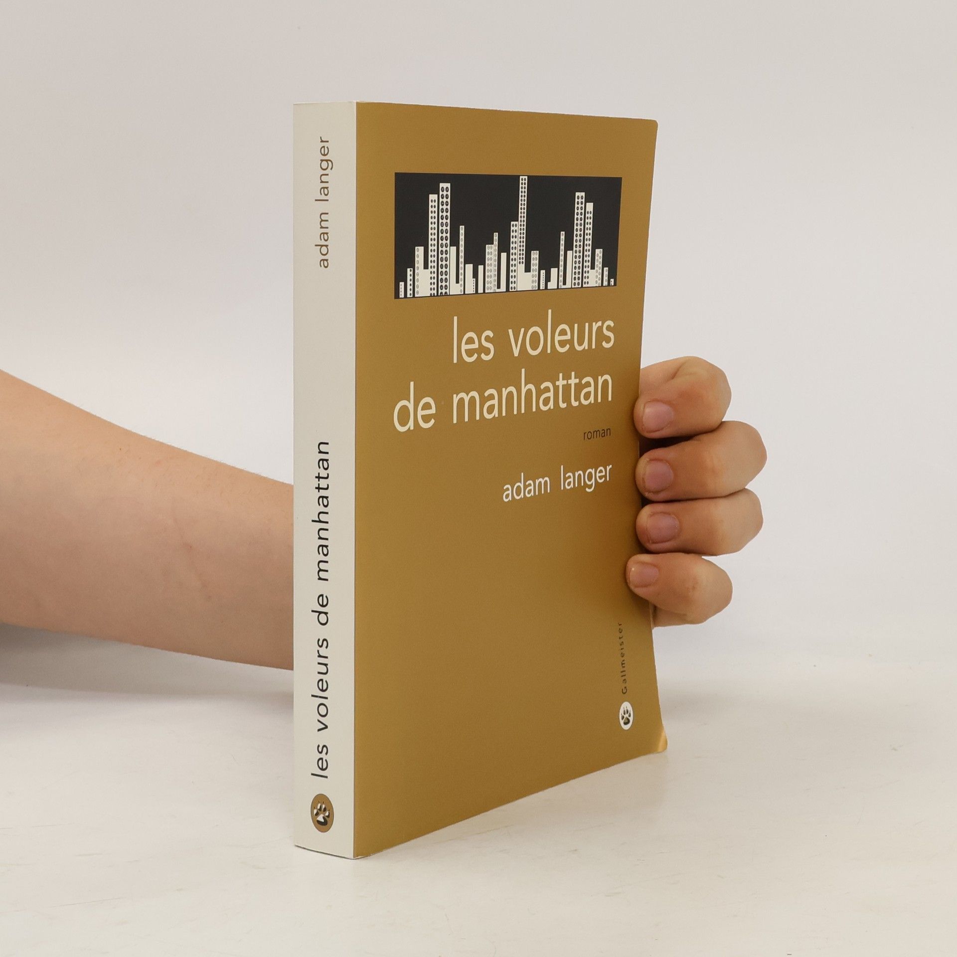 Adam Langer Les voleurs de Manhattan