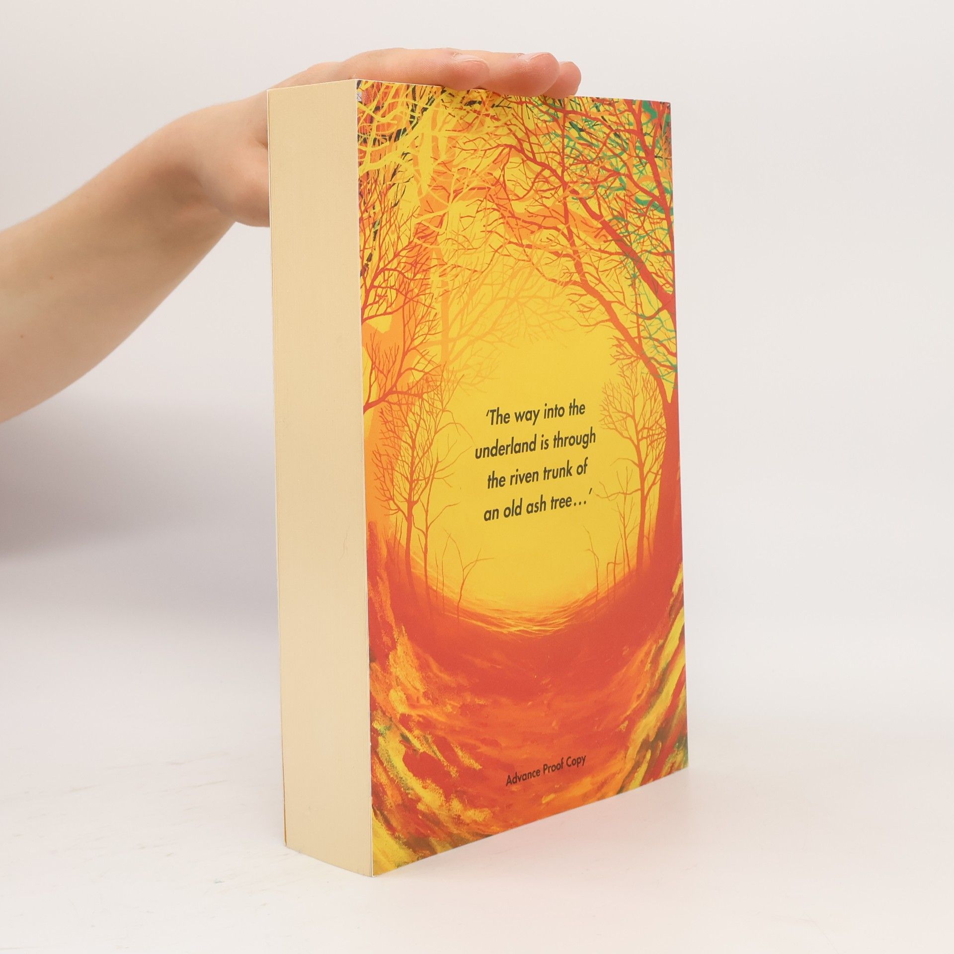 Robert Macfarlane Underland : a deep time journey