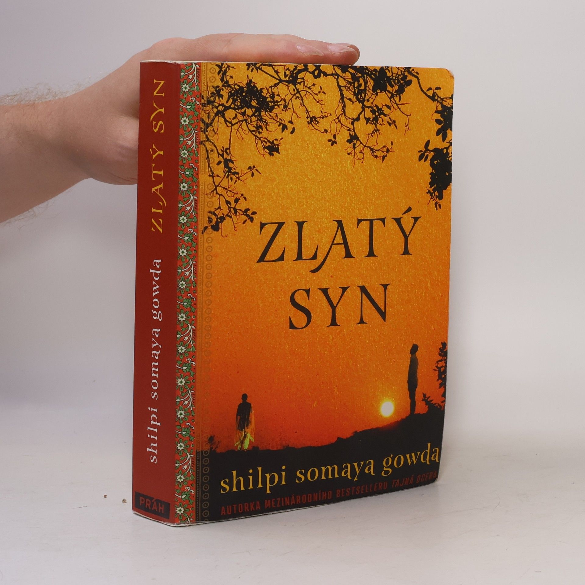 Shilpi Somaya Gowda Zlatý syn