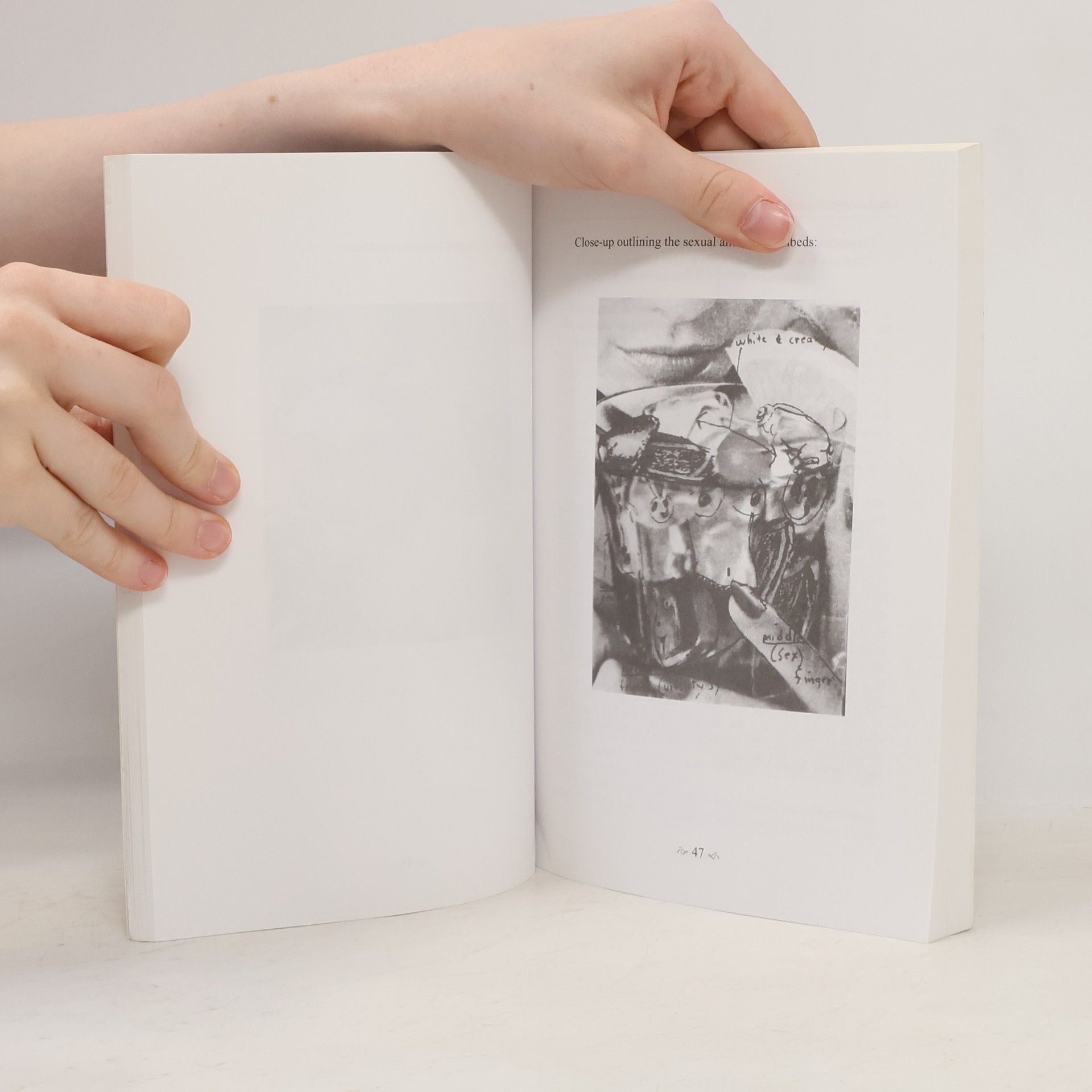 Eldon Taylor Choices and Illusions