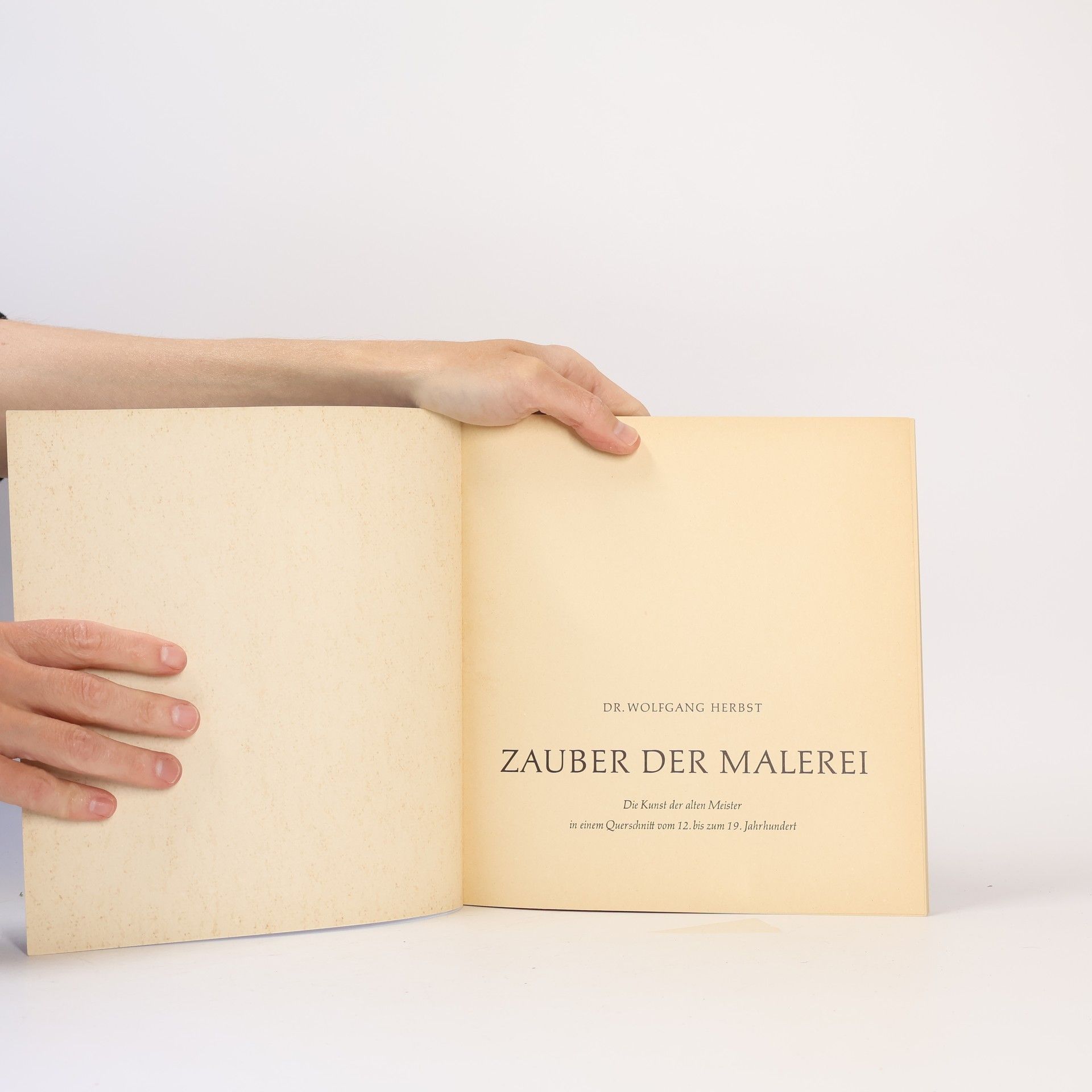 Wolfgang Herbst Zauber der Malerei