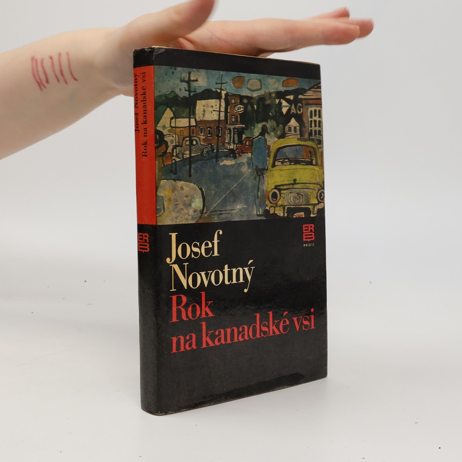 Rok na kanadské vsi