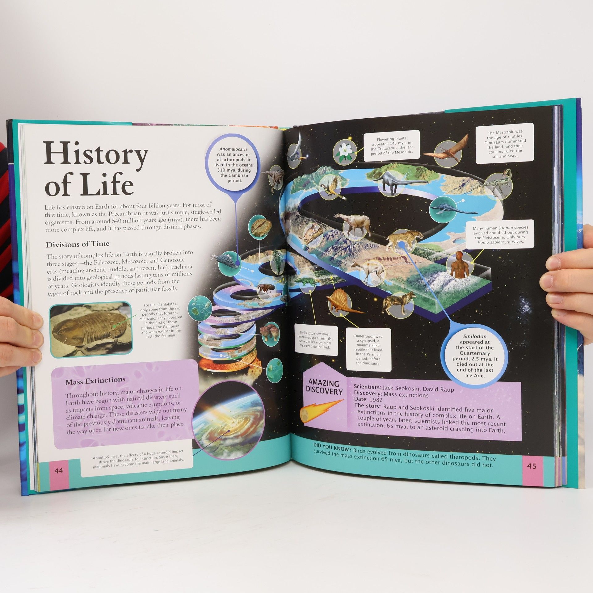 Giles Sparrow Arcturus Children's Reference Library: Children's Encyclopedia of Science