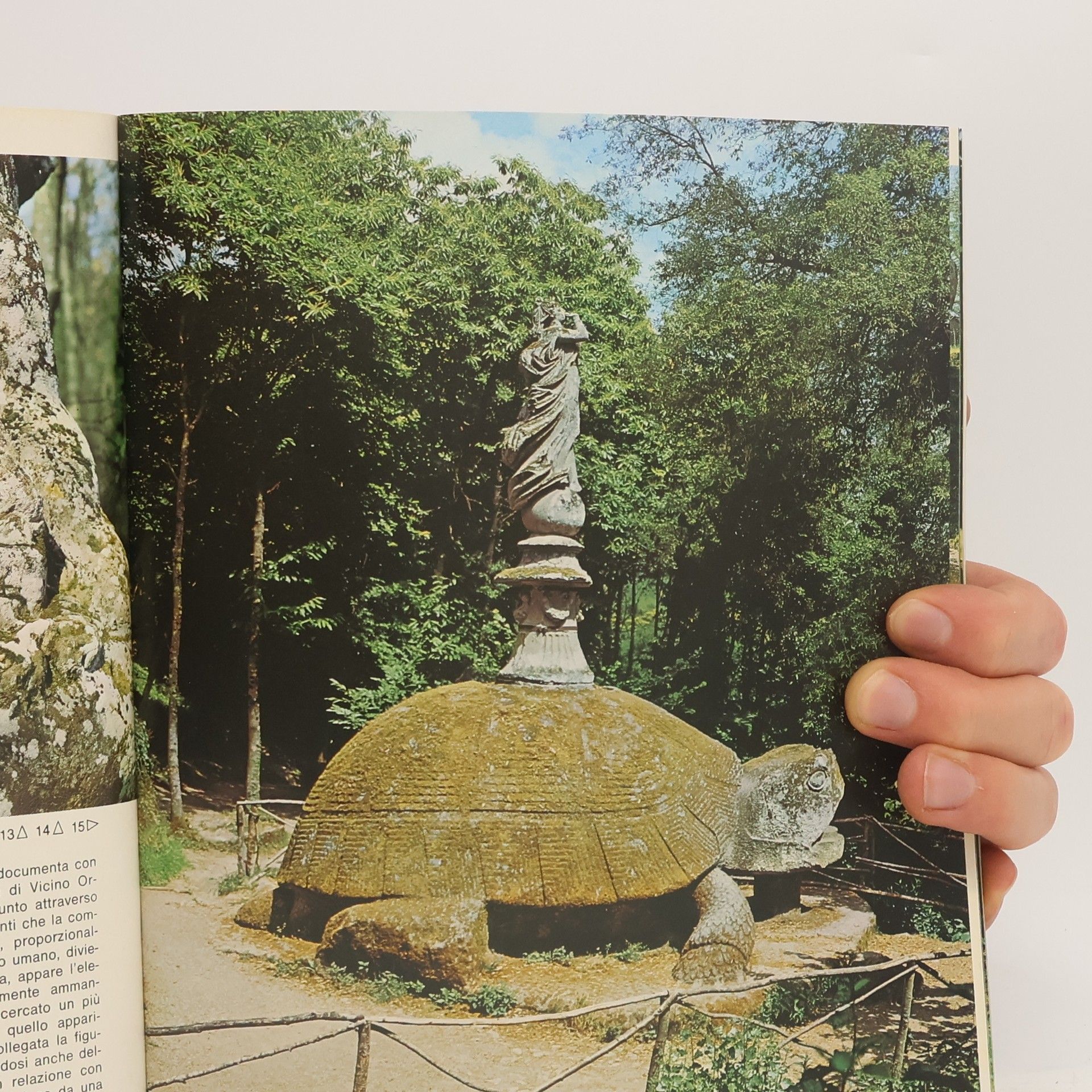 Jacopo Recupero Il Sacro Bosco Di Bomarzo