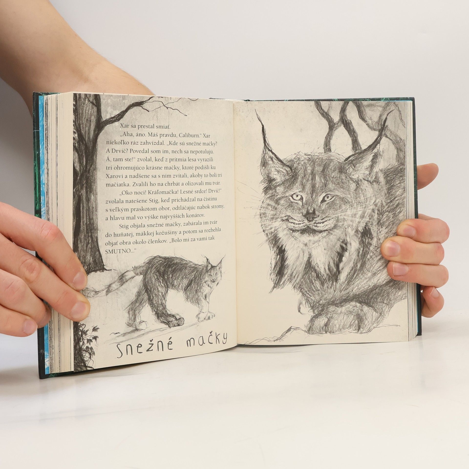Cressida Cowell Čary po druhé