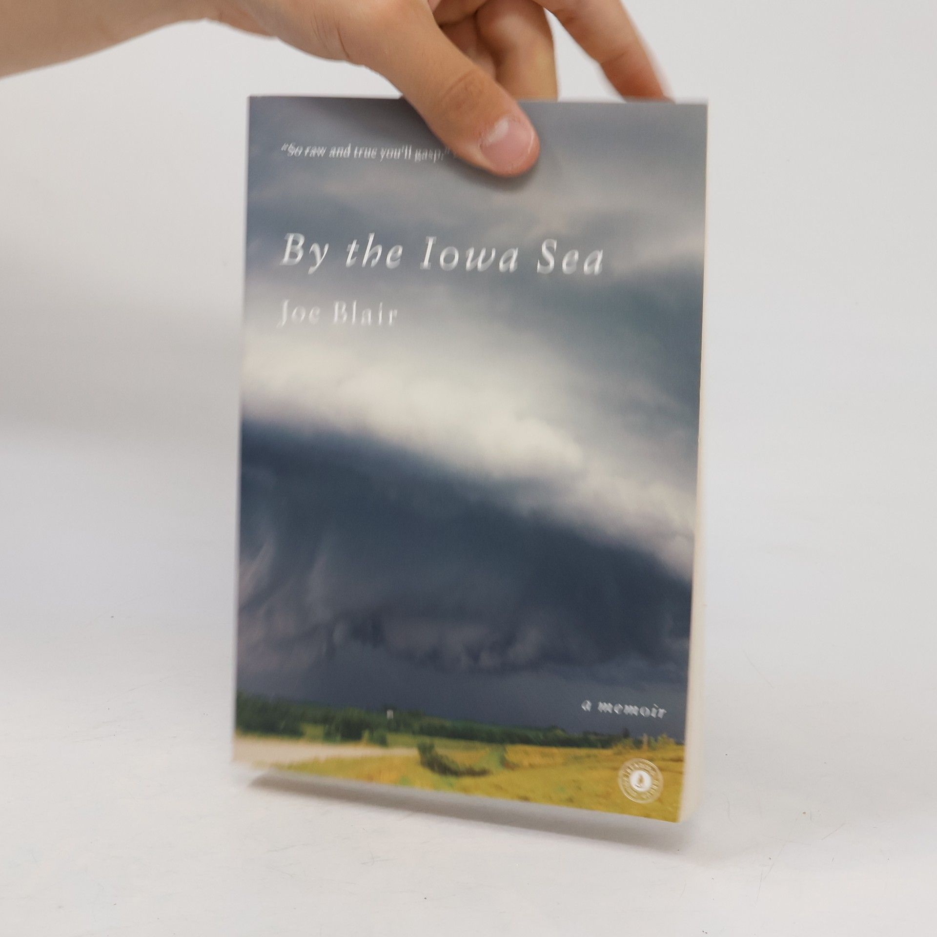Joe Blair By the Iowa Sea