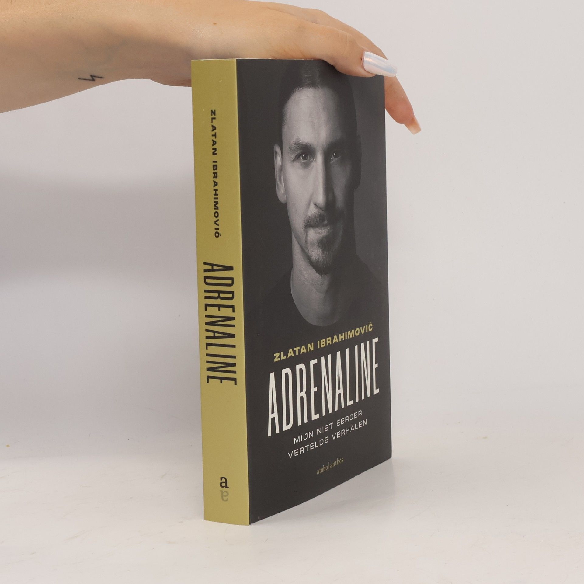 Luigi Garlando Adrenaline
