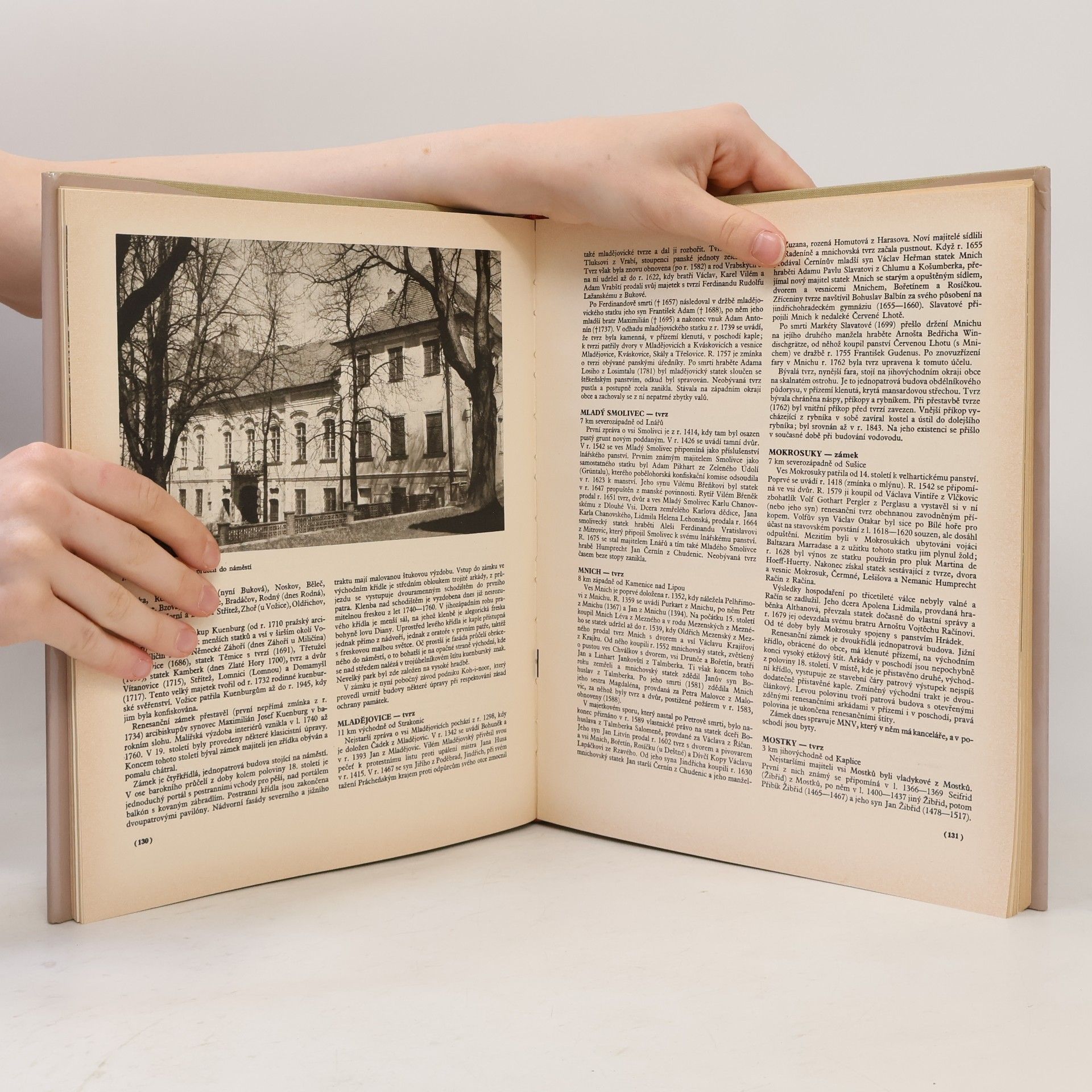Autorenkollektiv Hrady, zámky a tvrze v Čechách, na Moravě a ve Slezsku V. Jižní Čechy