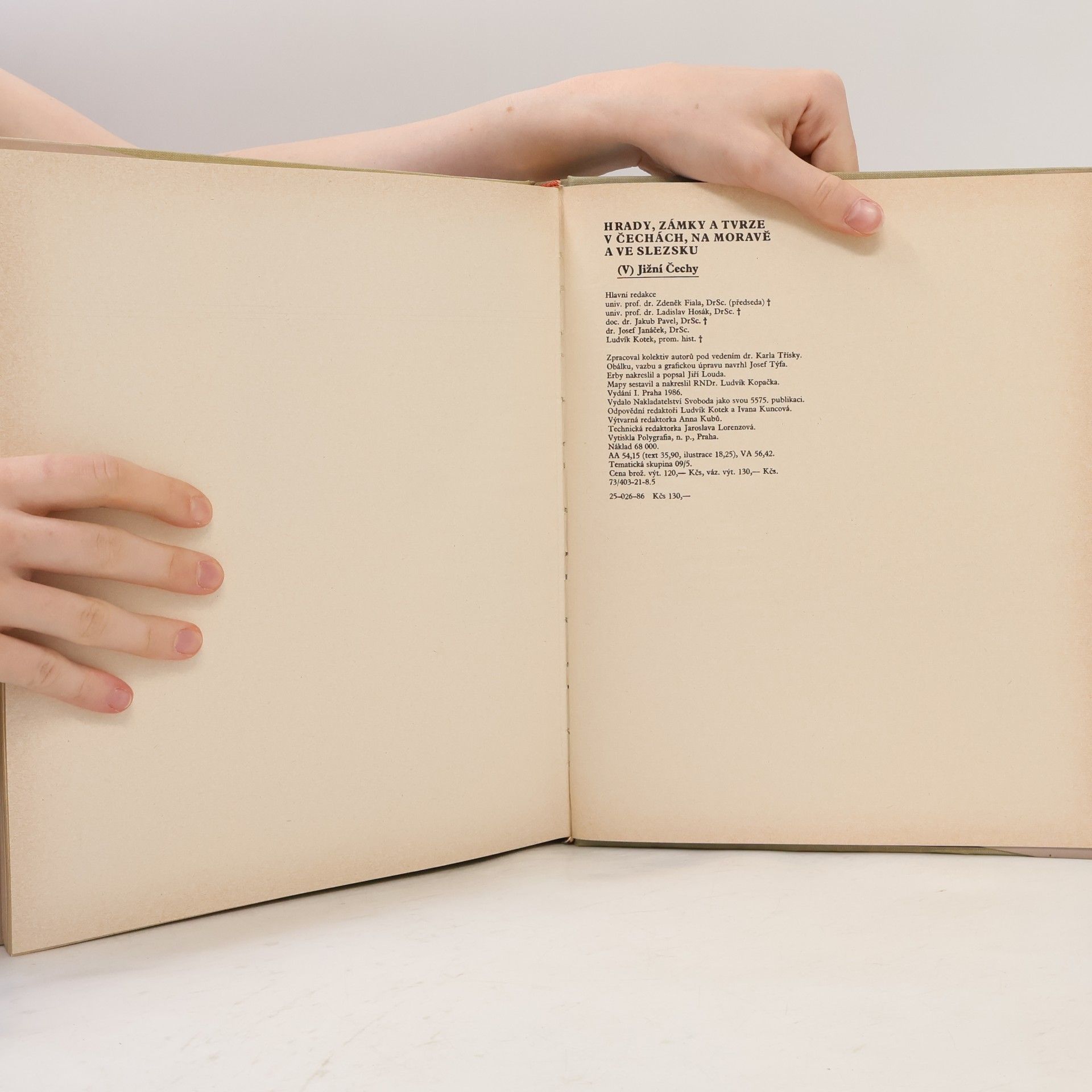 Autorenkollektiv Hrady, zámky a tvrze v Čechách, na Moravě a ve Slezsku V. Jižní Čechy