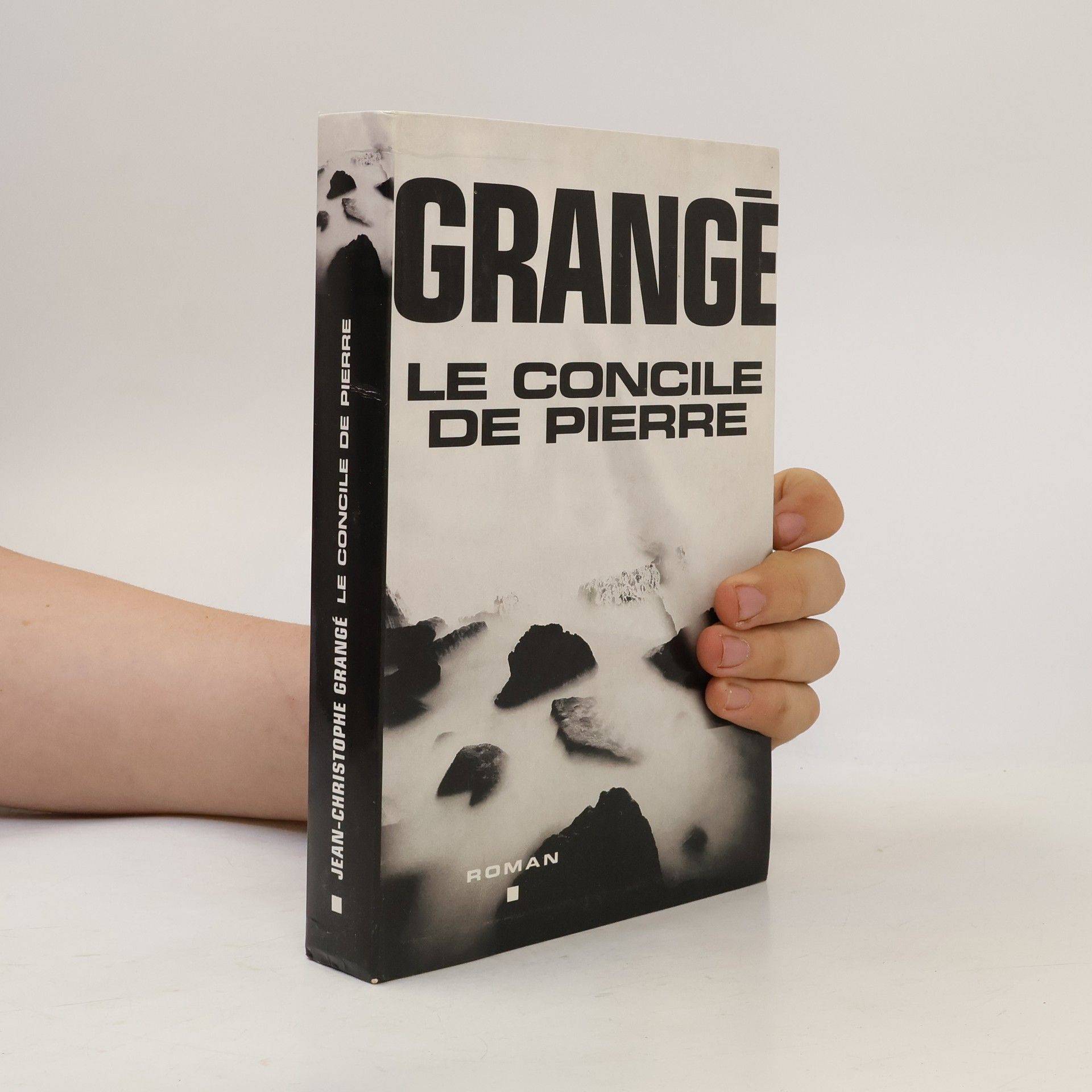 Jean Christophe Grangé Le Concile de pierre