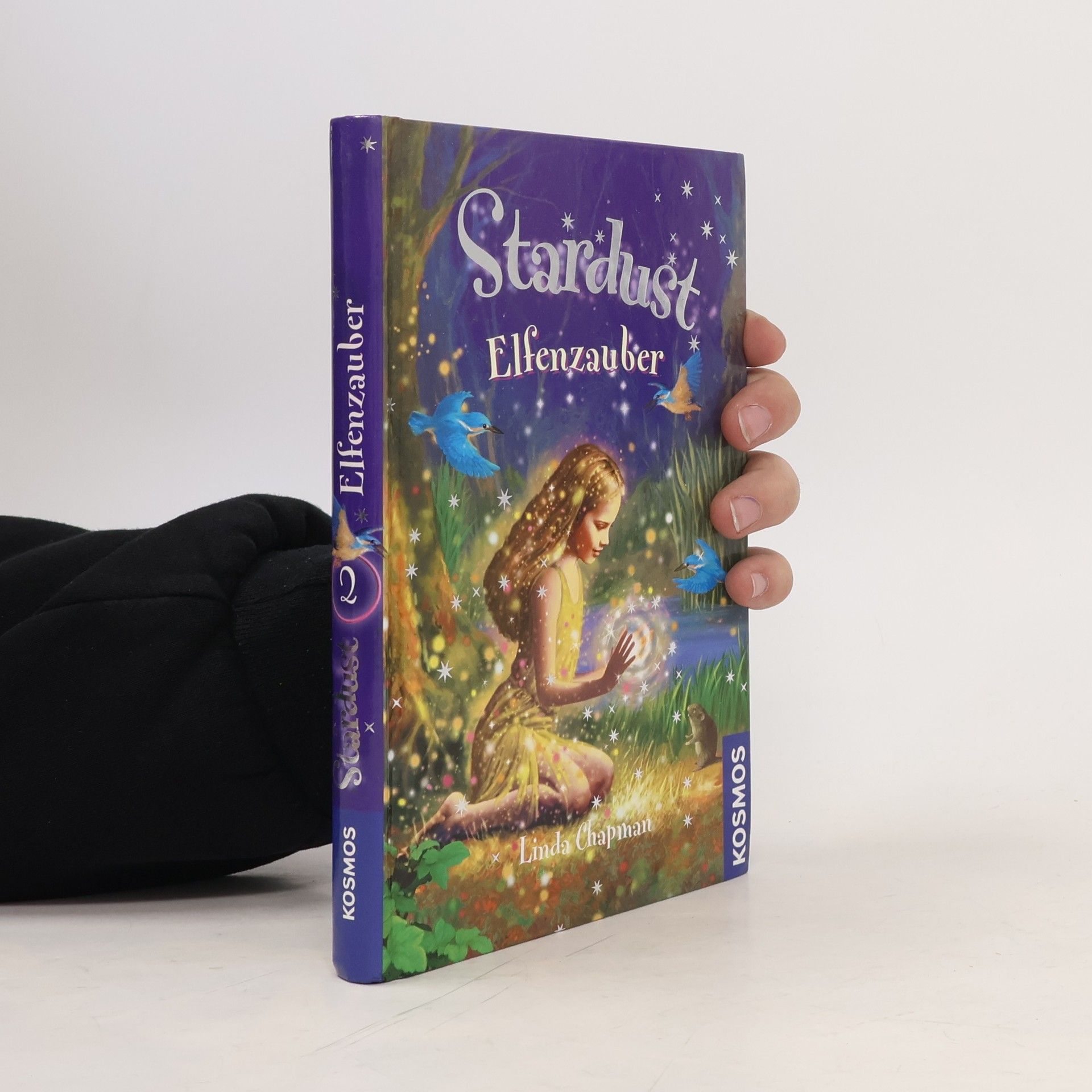Kirsten Straßmann Stardust - Elfenzauber. Stardust 2