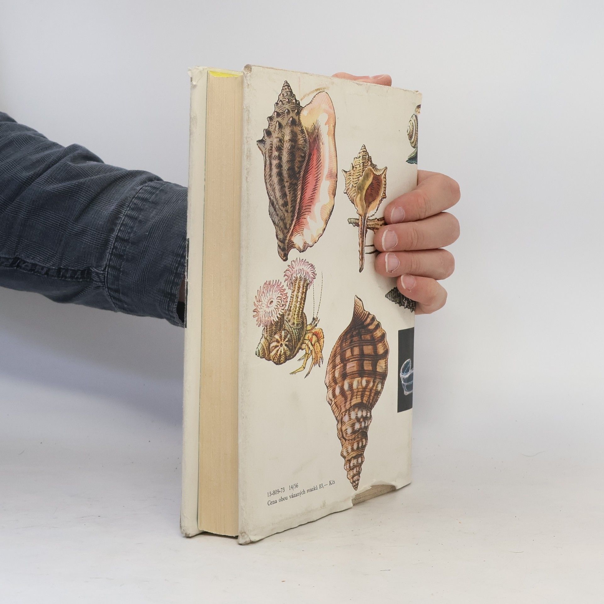 Jan Hanzák Světem zvířat V. díl 1. část. Bezobratlí.