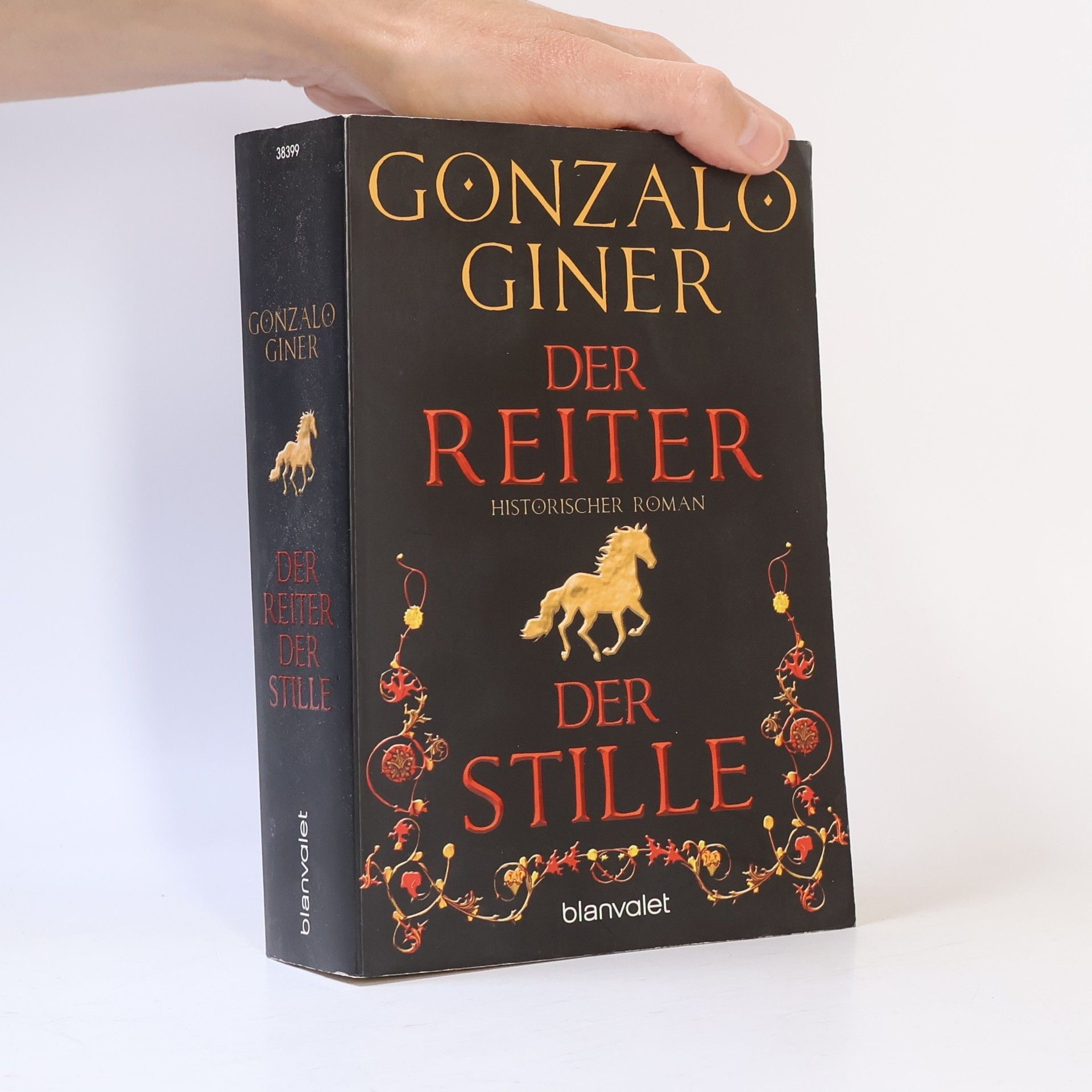 Gonzalo Giner Der Reiter der Stille
