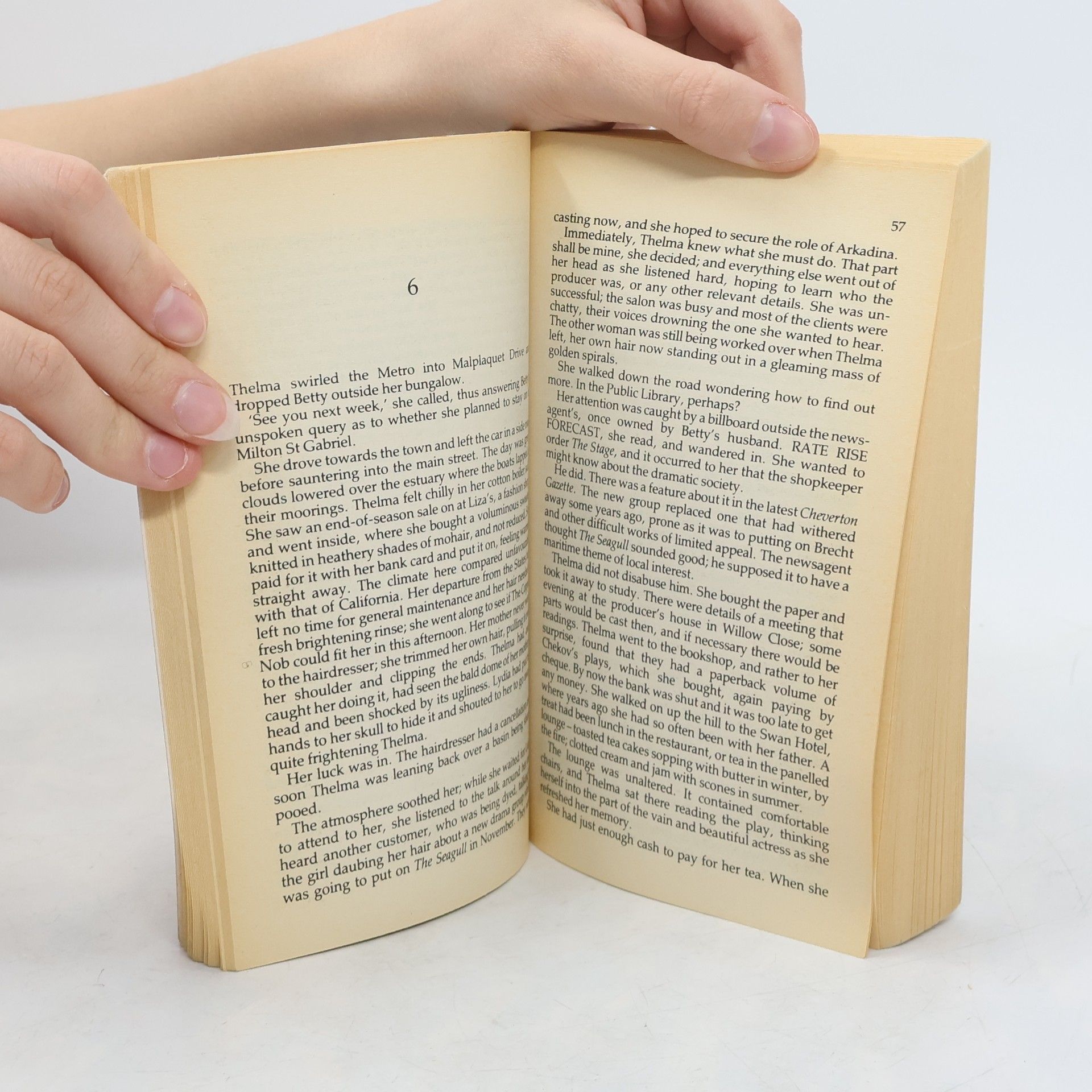 Margaret Yorke Evidence to Destroy