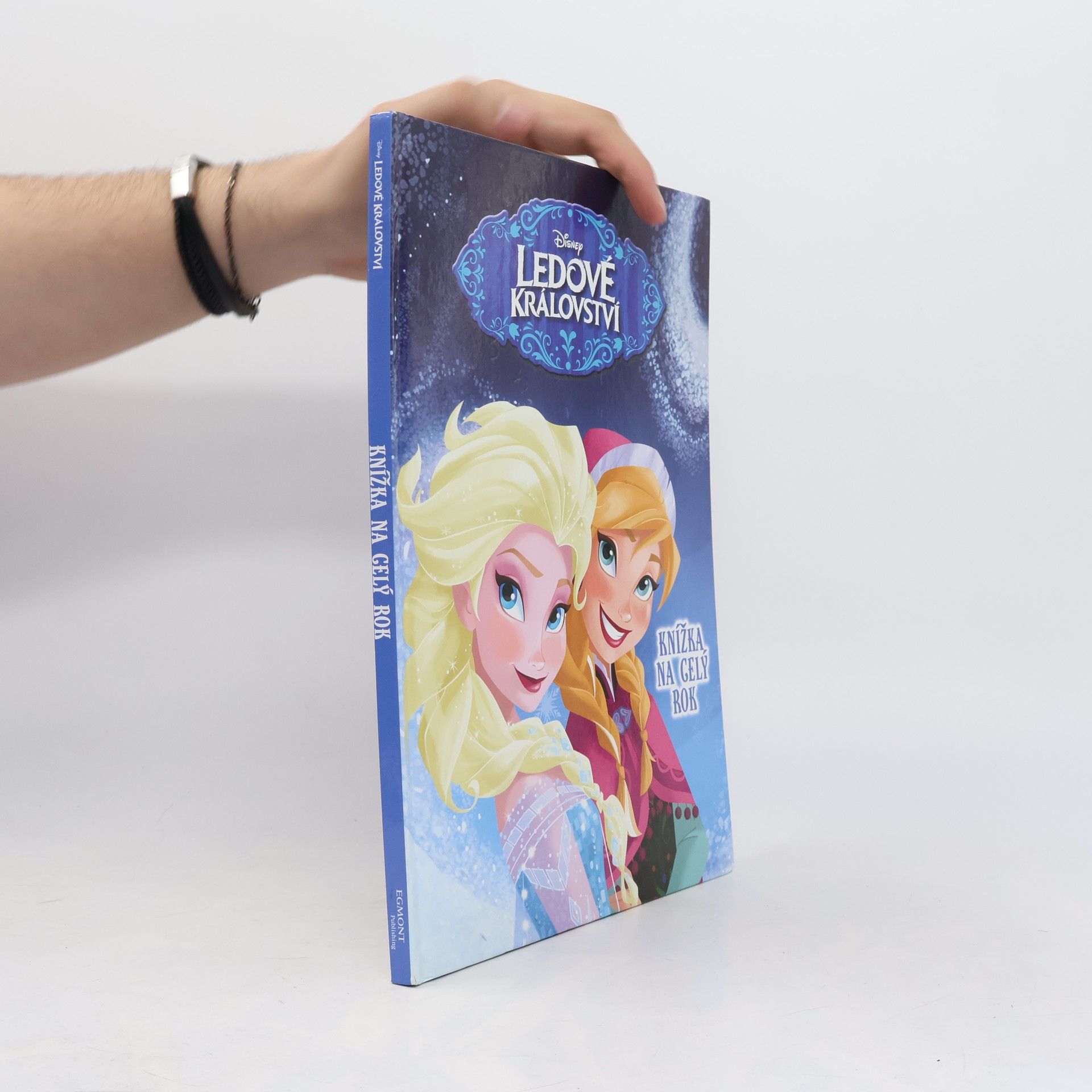 Walt Disney Ledové království - Knížka na celý rok